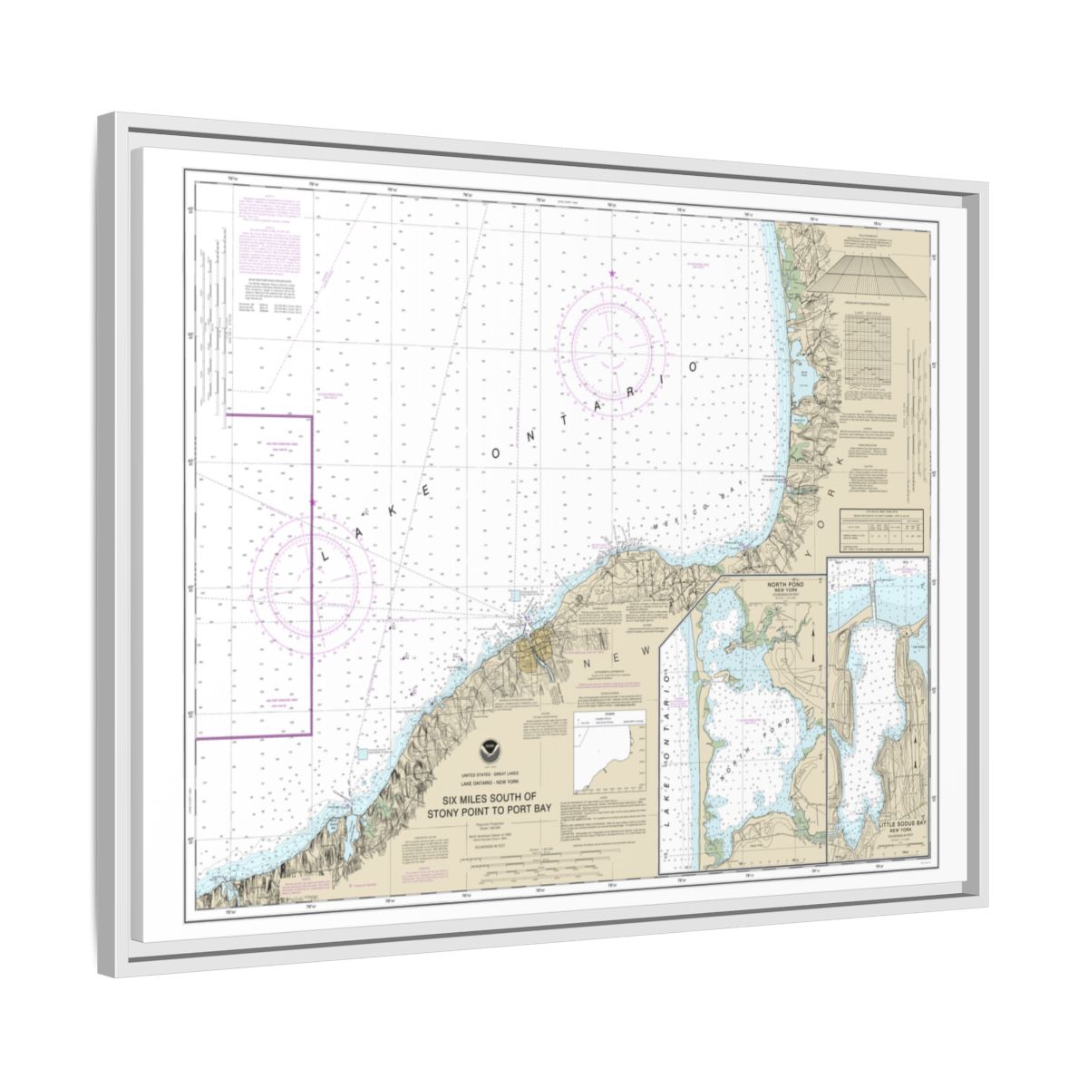 Chart 14803 Six Miles south of Stony Point to Port Bay;North Pond;Little Sodus Bay - NOAA Nautical Chart Floating Frame Canvas | 32" x 24" | 40" x 30" - White side