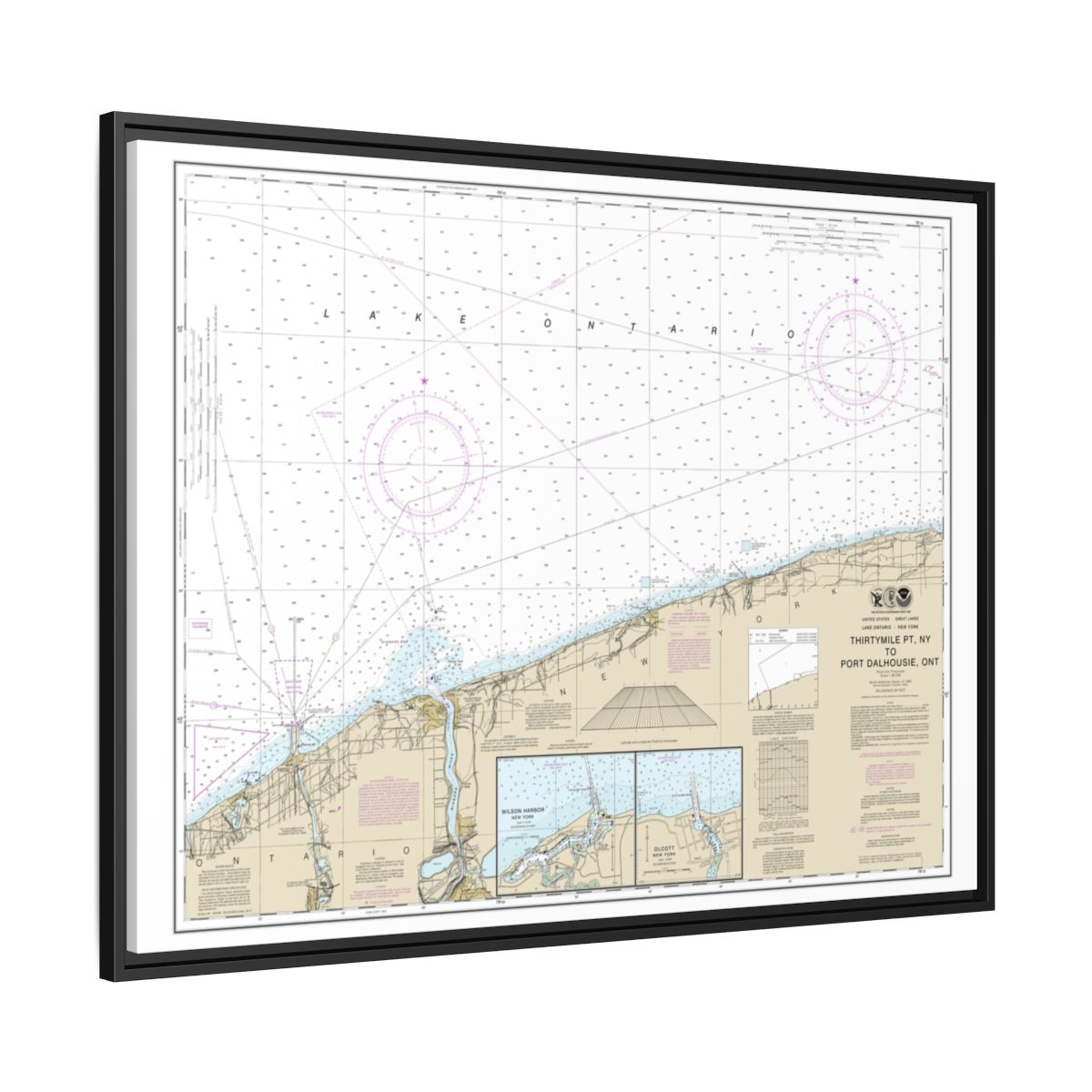 Chart 14806 Thirtymile Point, N.Y., to Port Dalhousie, Ont. - NOAA Nautical Chart Floating Frame Canvas | 32" x 24" | 40" x 30" - Black side