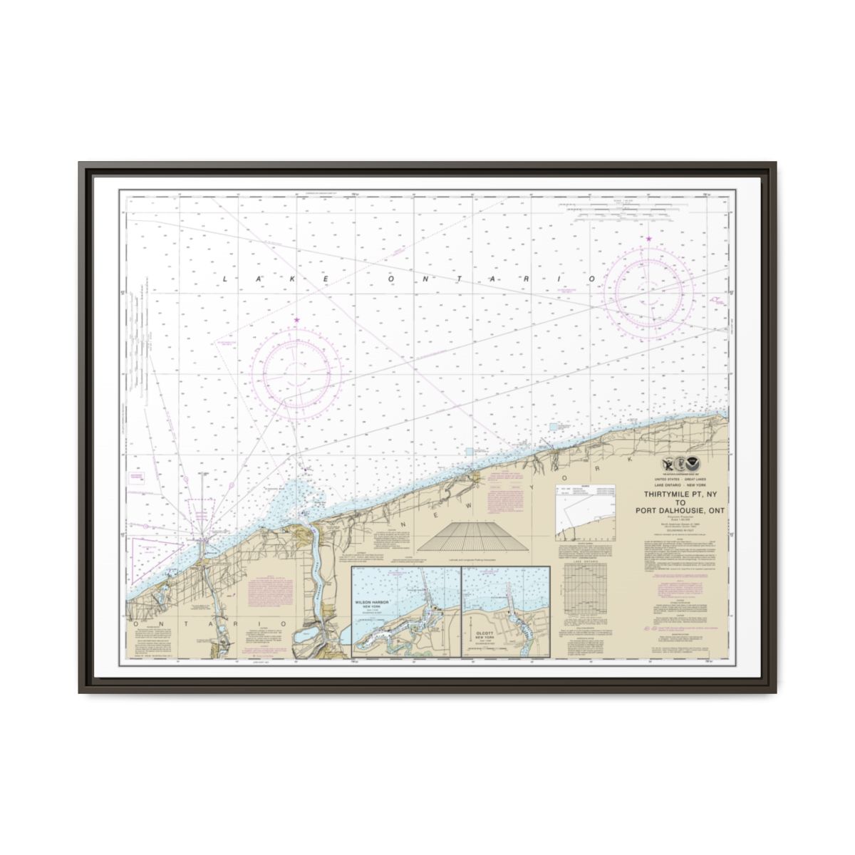 Chart 14806 Thirtymile Point, N.Y., to Port Dalhousie, Ont. - NOAA Nautical Chart Floating Frame Canvas | 32" x 24" | 40" x 30" - Espresso front