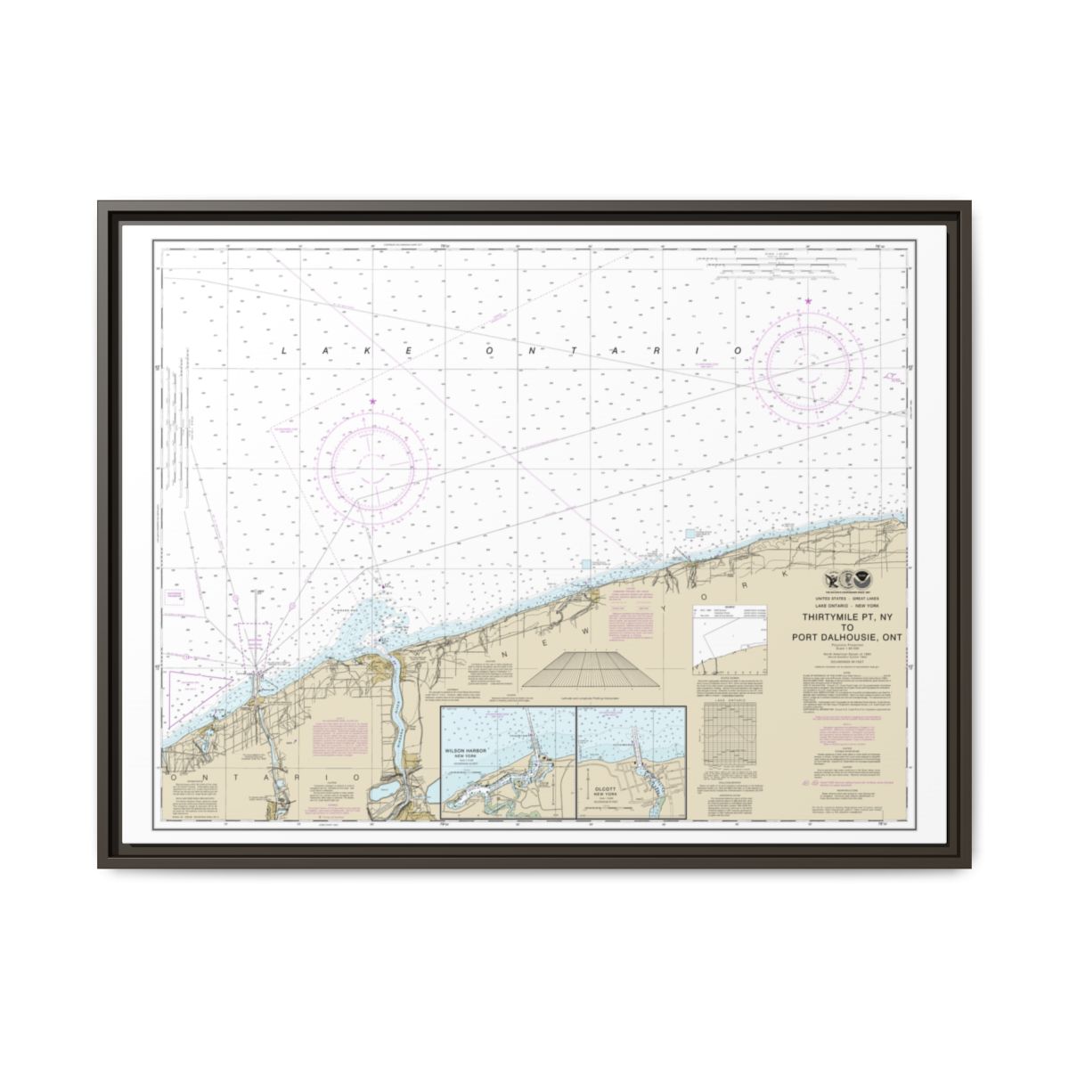 Chart 14806 Thirtymile Point, N.Y., to Port Dalhousie, Ont. - NOAA Nautical Chart Floating Frame Canvas | 32" x 24" | 40" x 30" - Espresso front