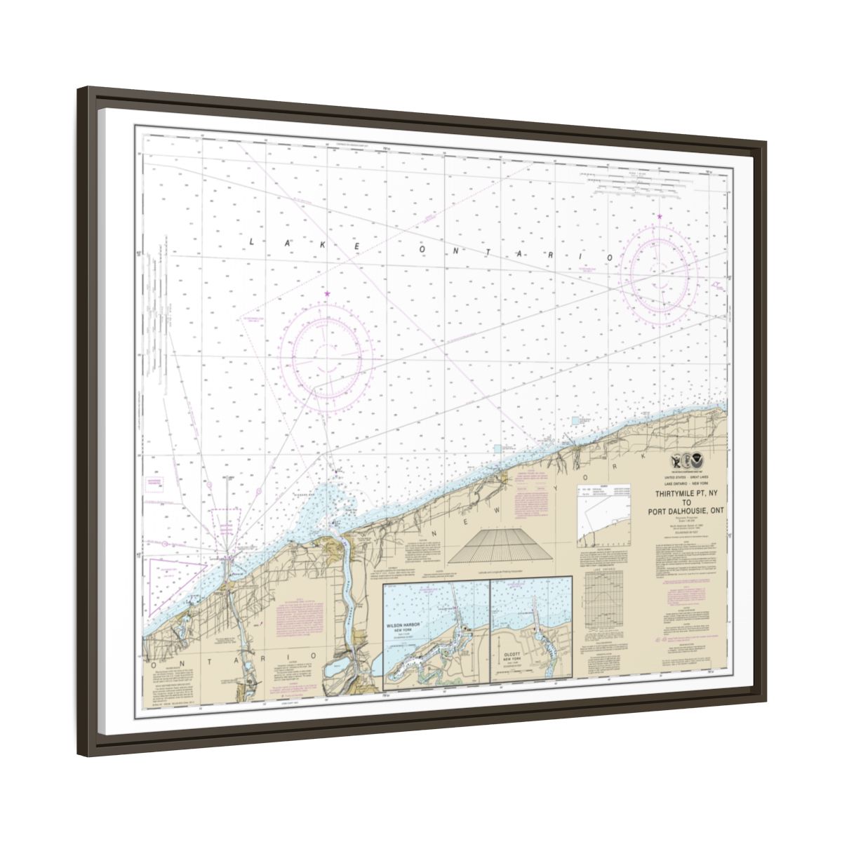 Chart 14806 Thirtymile Point, N.Y., to Port Dalhousie, Ont. - NOAA Nautical Chart Floating Frame Canvas | 32" x 24" | 40" x 30" - Espresso side