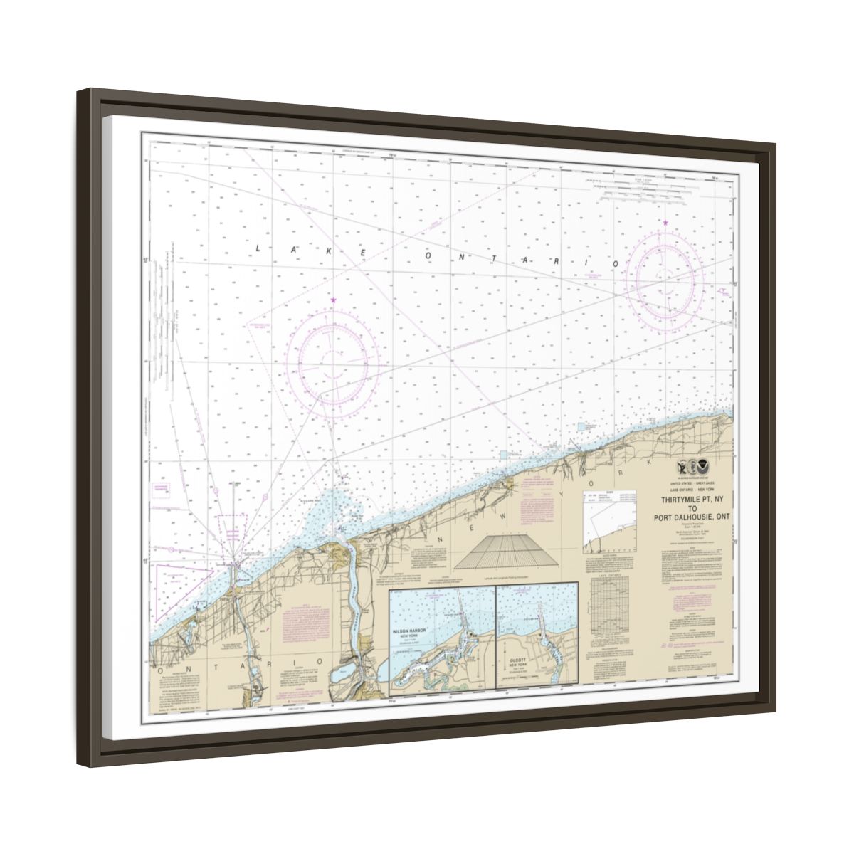Chart 14806 Thirtymile Point, N.Y., to Port Dalhousie, Ont. - NOAA Nautical Chart Floating Frame Canvas | 32" x 24" | 40" x 30" - Espresso side