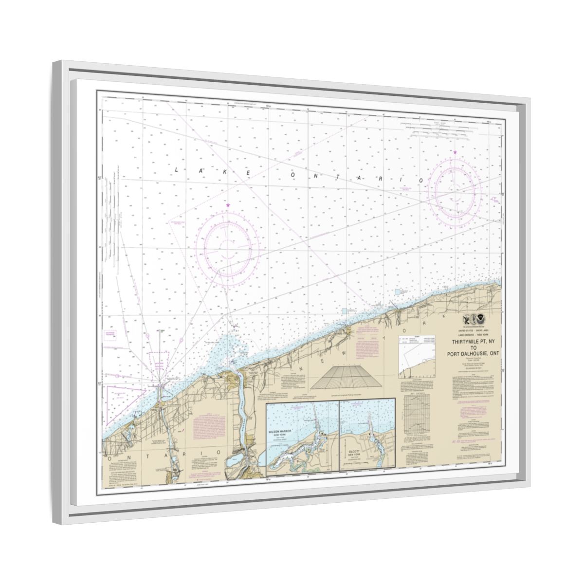 Chart 14806 Thirtymile Point, N.Y., to Port Dalhousie, Ont. - NOAA Nautical Chart Floating Frame Canvas | 32" x 24" | 40" x 30" - White side