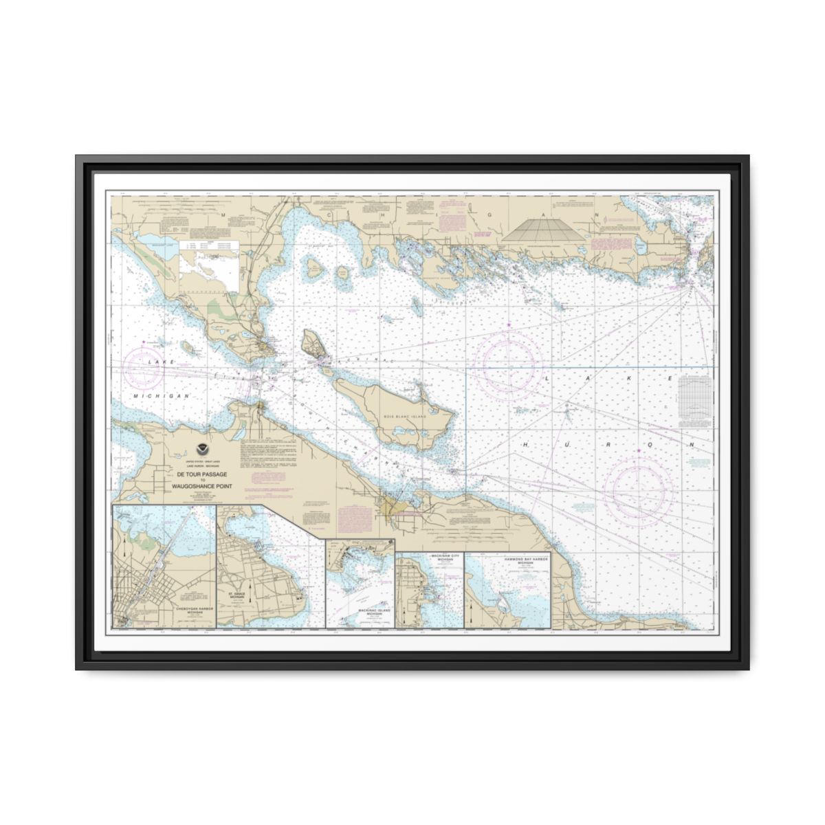 Chart 14881 Detour Passage to Waugoshance Pt.;Hammond Bay Harbor;Mackinac Island;Cheboygan;Mackinaw City;St. lgnace - NOAA Nautical Chart Floating Frame Canvas | 32" x 24" | 40" x 30" - Black front