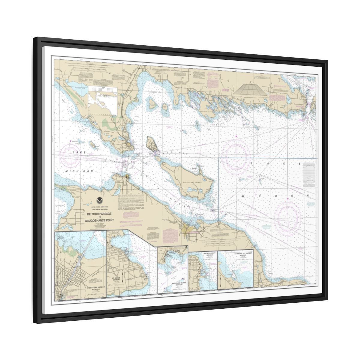 Chart 14881 Detour Passage to Waugoshance Pt.;Hammond Bay Harbor;Mackinac Island;Cheboygan;Mackinaw City;St. lgnace - NOAA Nautical Chart Floating Frame Canvas | 32" x 24" | 40" x 30" - Black side