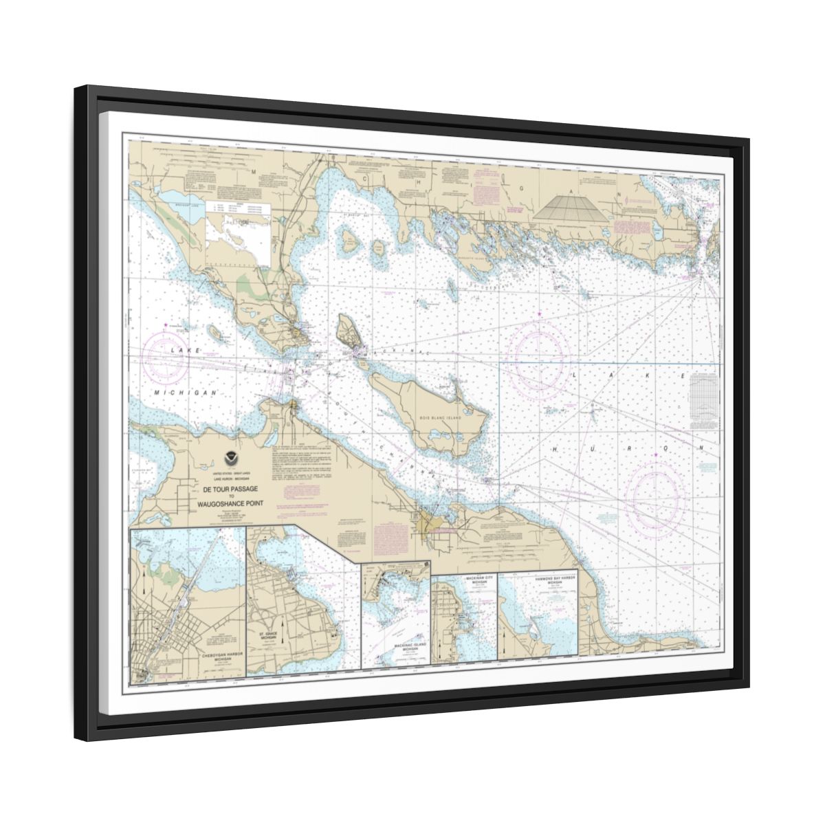 Chart 14881 Detour Passage to Waugoshance Pt.;Hammond Bay Harbor;Mackinac Island;Cheboygan;Mackinaw City;St. lgnace - NOAA Nautical Chart Floating Frame Canvas | 32" x 24" | 40" x 30" - Black side