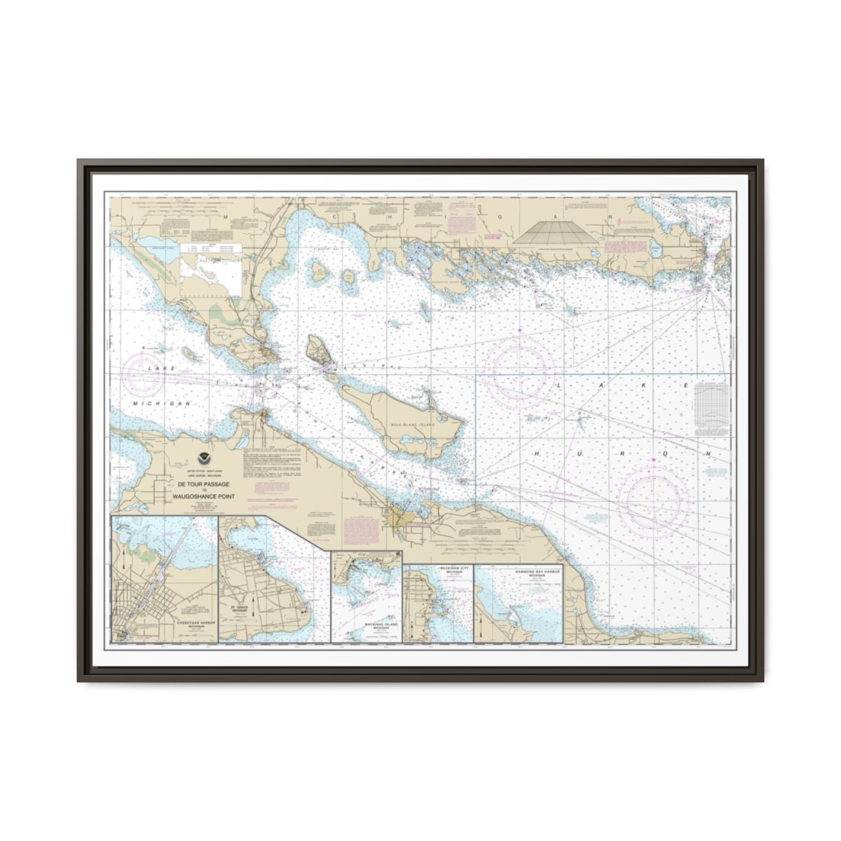 Chart 14881 Detour Passage to Waugoshance Pt.;Hammond Bay Harbor;Mackinac Island;Cheboygan;Mackinaw City;St. lgnace - NOAA Nautical Chart Floating Frame Canvas | 32" x 24" | 40" x 30" - Espresso front