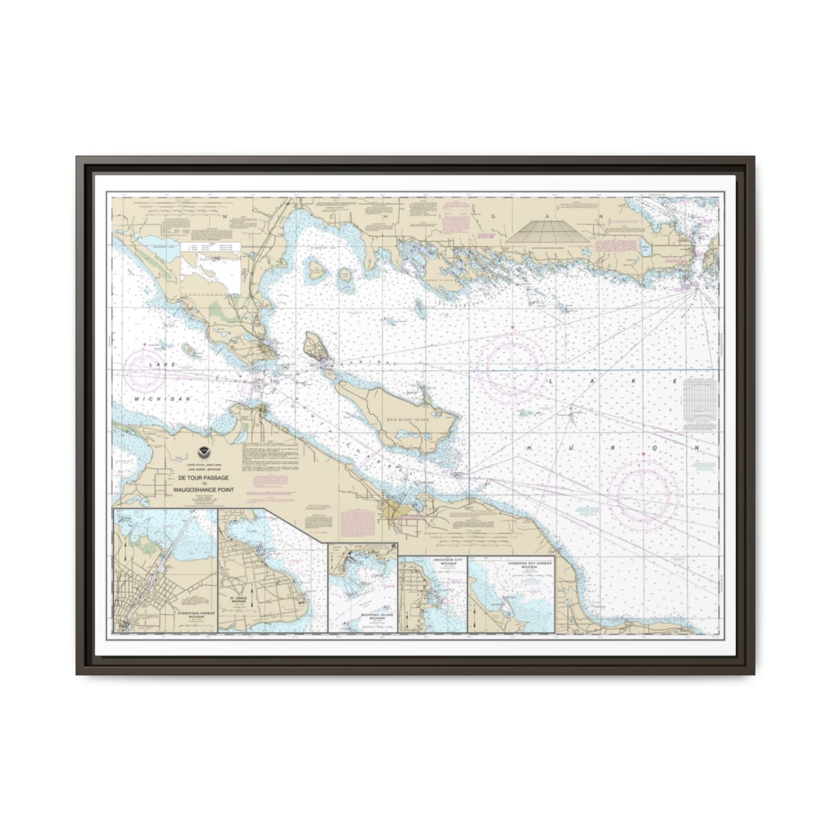 Chart 14881 Detour Passage to Waugoshance Pt.;Hammond Bay Harbor;Mackinac Island;Cheboygan;Mackinaw City;St. lgnace - NOAA Nautical Chart Floating Frame Canvas | 32" x 24" | 40" x 30" - Espresso front