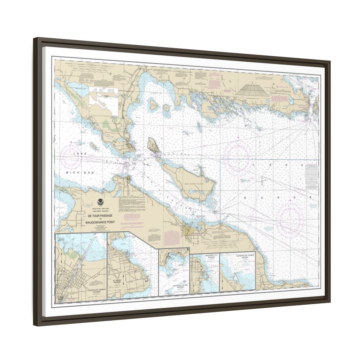 Chart 14881 Detour Passage to Waugoshance Pt.;Hammond Bay Harbor;Mackinac Island;Cheboygan;Mackinaw City;St. lgnace - NOAA Nautical Chart Floating Frame Canvas | 32" x 24" | 40" x 30" - Espresso side