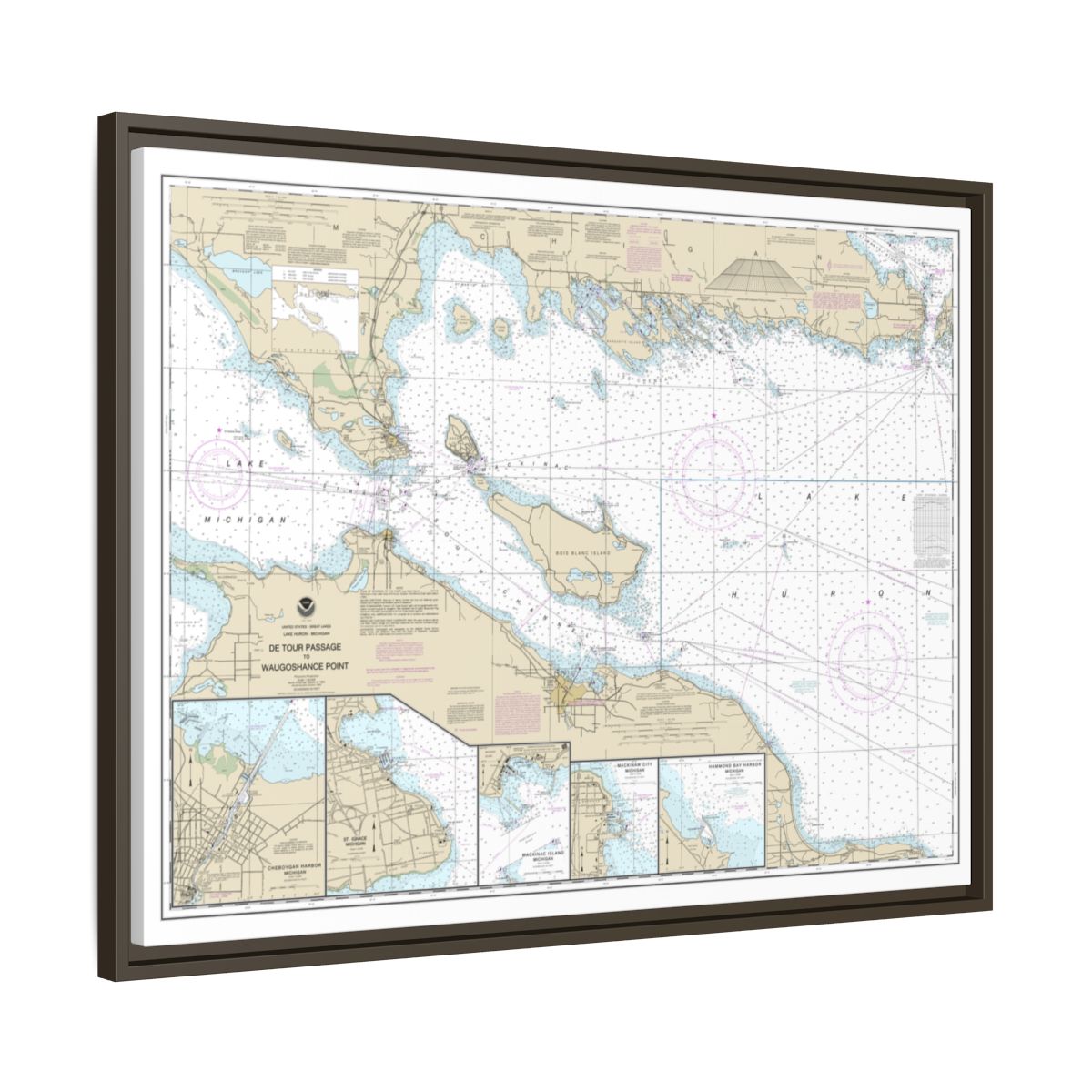 Chart 14881 Detour Passage to Waugoshance Pt.;Hammond Bay Harbor;Mackinac Island;Cheboygan;Mackinaw City;St. lgnace - NOAA Nautical Chart Floating Frame Canvas | 32" x 24" | 40" x 30" - Espresso side