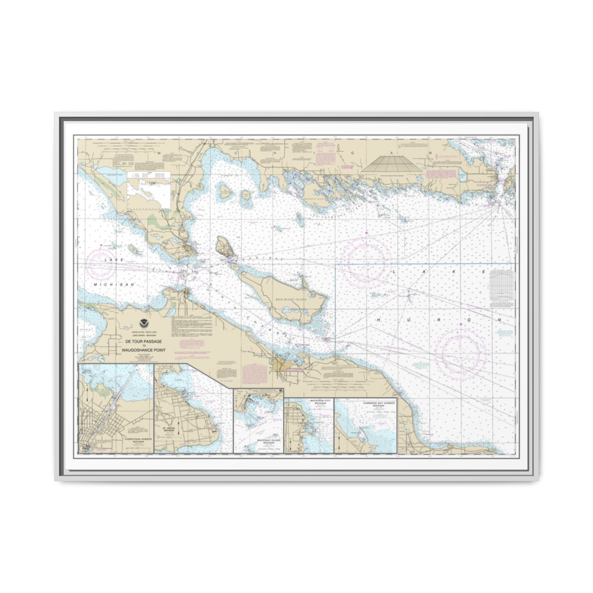 Chart 14881 Detour Passage to Waugoshance Pt.;Hammond Bay Harbor;Mackinac Island;Cheboygan;Mackinaw City;St. lgnace - NOAA Nautical Chart Floating Frame Canvas | 32" x 24" | 40" x 30" - White front