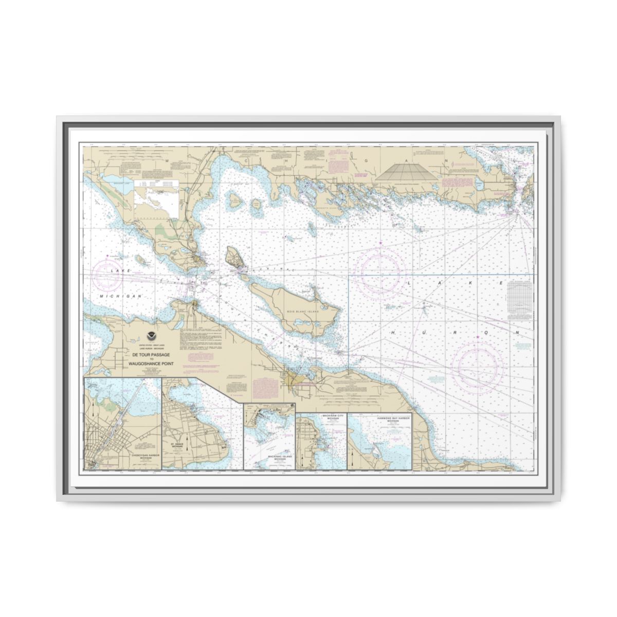 Chart 14881 Detour Passage to Waugoshance Pt.;Hammond Bay Harbor;Mackinac Island;Cheboygan;Mackinaw City;St. lgnace - NOAA Nautical Chart Floating Frame Canvas | 32" x 24" | 40" x 30" - White front