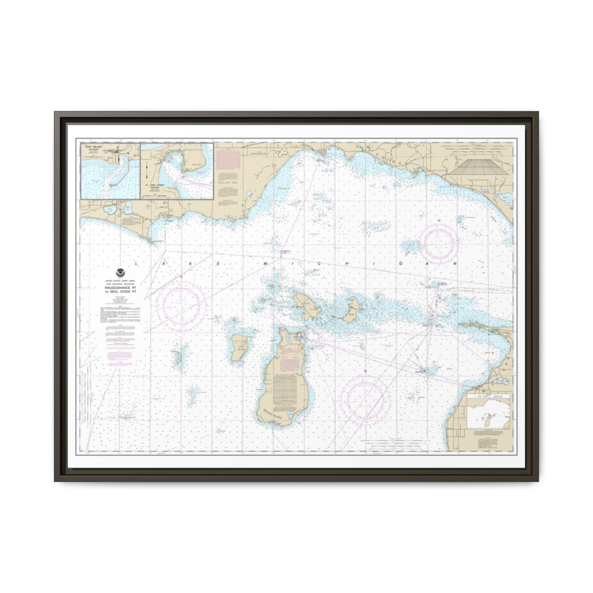 Chart 14911 Waugoshance Point to Seul Choix Point, including Beaver Island Group;Port Inland;Beaver Harbor - NOAA Nautical Chart Floating Frame Canvas | 32" x 24" | 40" x 30" - Espresso front