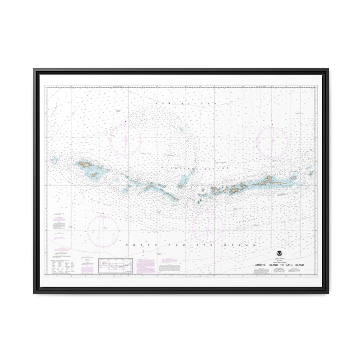 Chart 16012 Aleutian Islands Amukta Island to Attu Island - NOAA Nautical Chart Floating Frame Canvas | 32" x 24" | 40" x 30" - Black front
