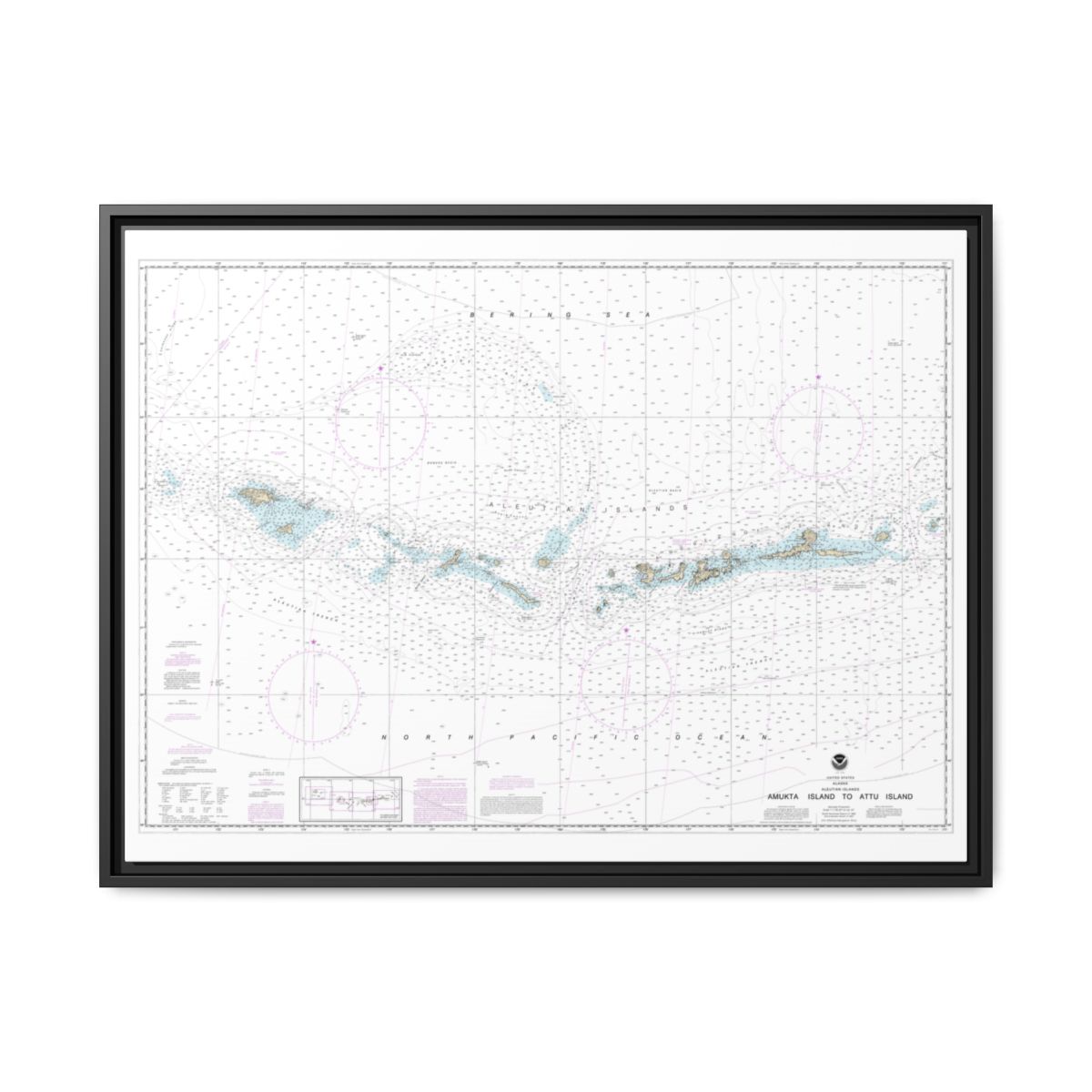 Chart 16012 Aleutian Islands Amukta Island to Attu Island - NOAA Nautical Chart Floating Frame Canvas | 32" x 24" | 40" x 30" - Black front