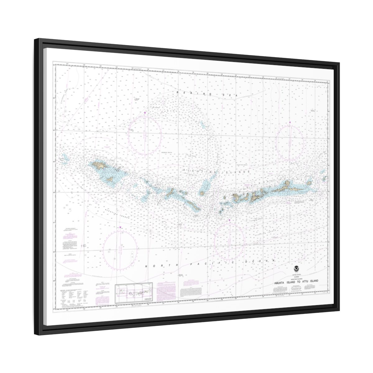 Chart 16012 Aleutian Islands Amukta Island to Attu Island - NOAA Nautical Chart Floating Frame Canvas | 32" x 24" | 40" x 30" - Black side