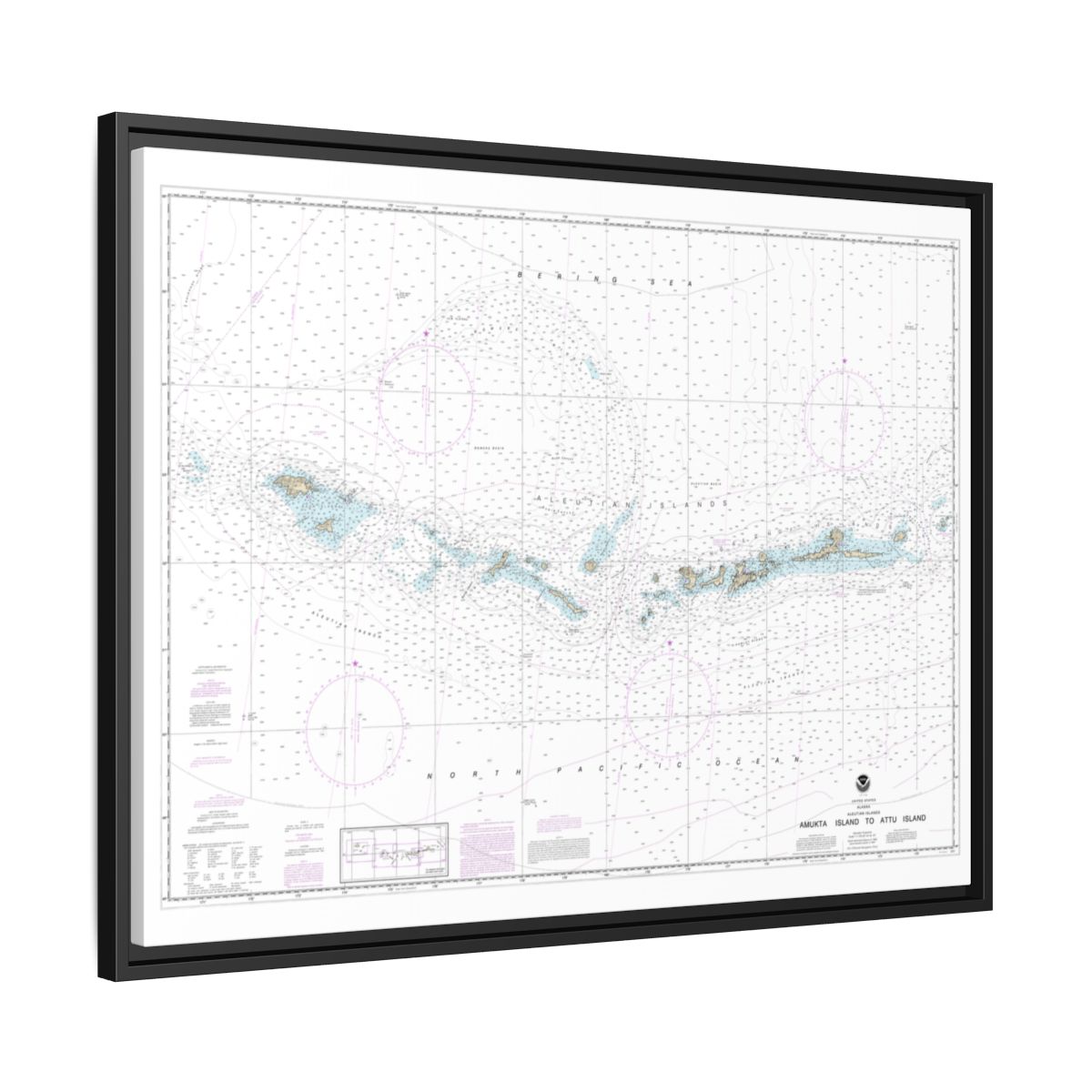 Chart 16012 Aleutian Islands Amukta Island to Attu Island - NOAA Nautical Chart Floating Frame Canvas | 32" x 24" | 40" x 30" - Black side