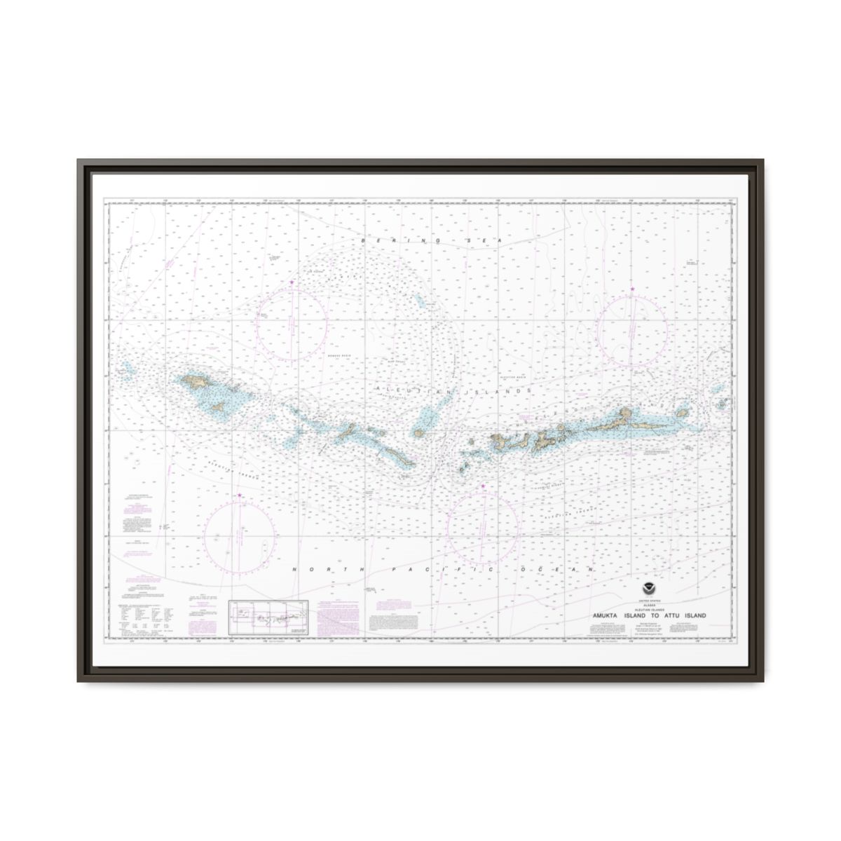 Chart 16012 Aleutian Islands Amukta Island to Attu Island - NOAA Nautical Chart Floating Frame Canvas | 32" x 24" | 40" x 30" - Espresso front
