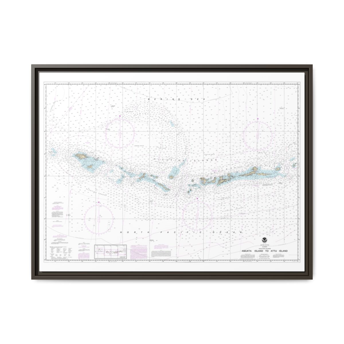 Chart 16012 Aleutian Islands Amukta Island to Attu Island - NOAA Nautical Chart Floating Frame Canvas | 32" x 24" | 40" x 30" - Espresso front
