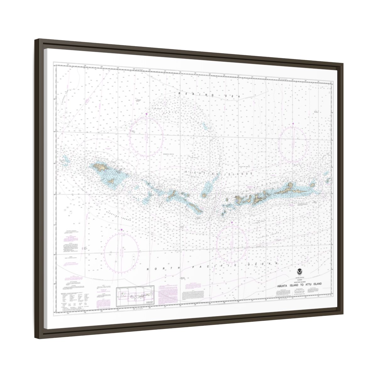 Chart 16012 Aleutian Islands Amukta Island to Attu Island - NOAA Nautical Chart Floating Frame Canvas | 32" x 24" | 40" x 30" - Espresso side