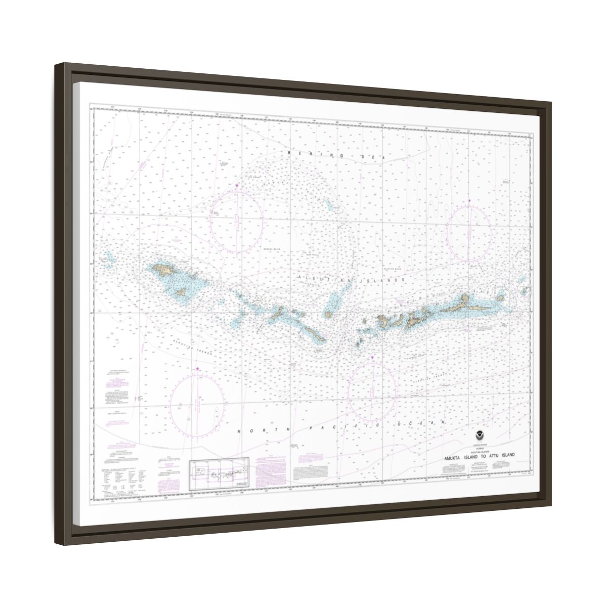 Chart 16012 Aleutian Islands Amukta Island to Attu Island - NOAA Nautical Chart Floating Frame Canvas | 32" x 24" | 40" x 30" - Espresso side