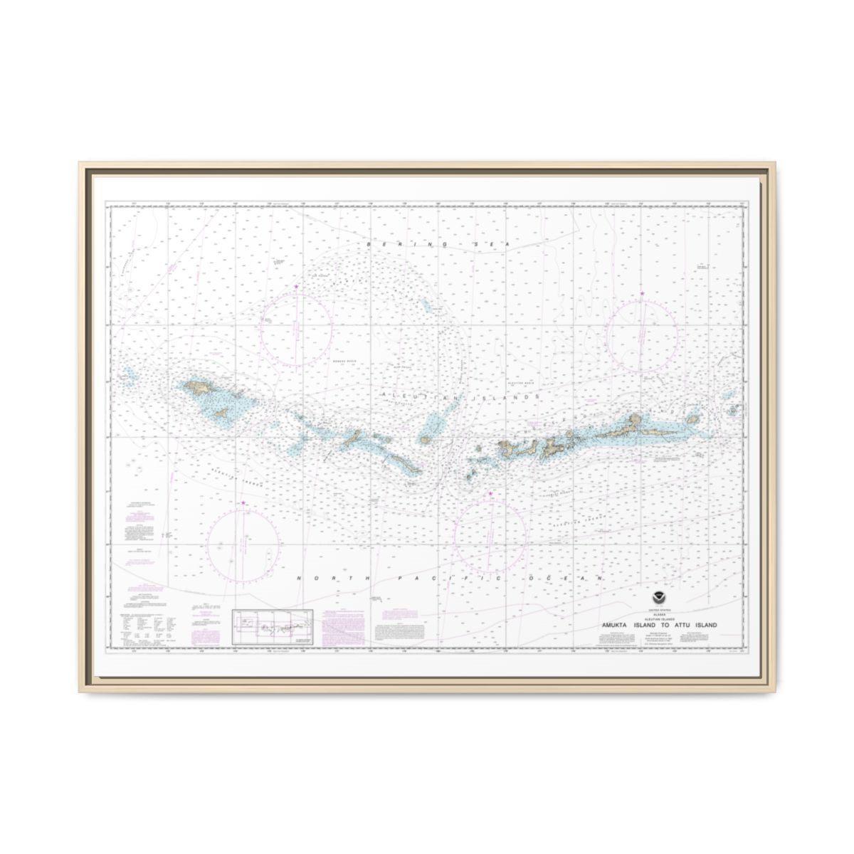 Chart 16012 Aleutian Islands Amukta Island to Attu Island - NOAA Nautical Chart Floating Frame Canvas | 32" x 24" | 40" x 30" - Natural front
