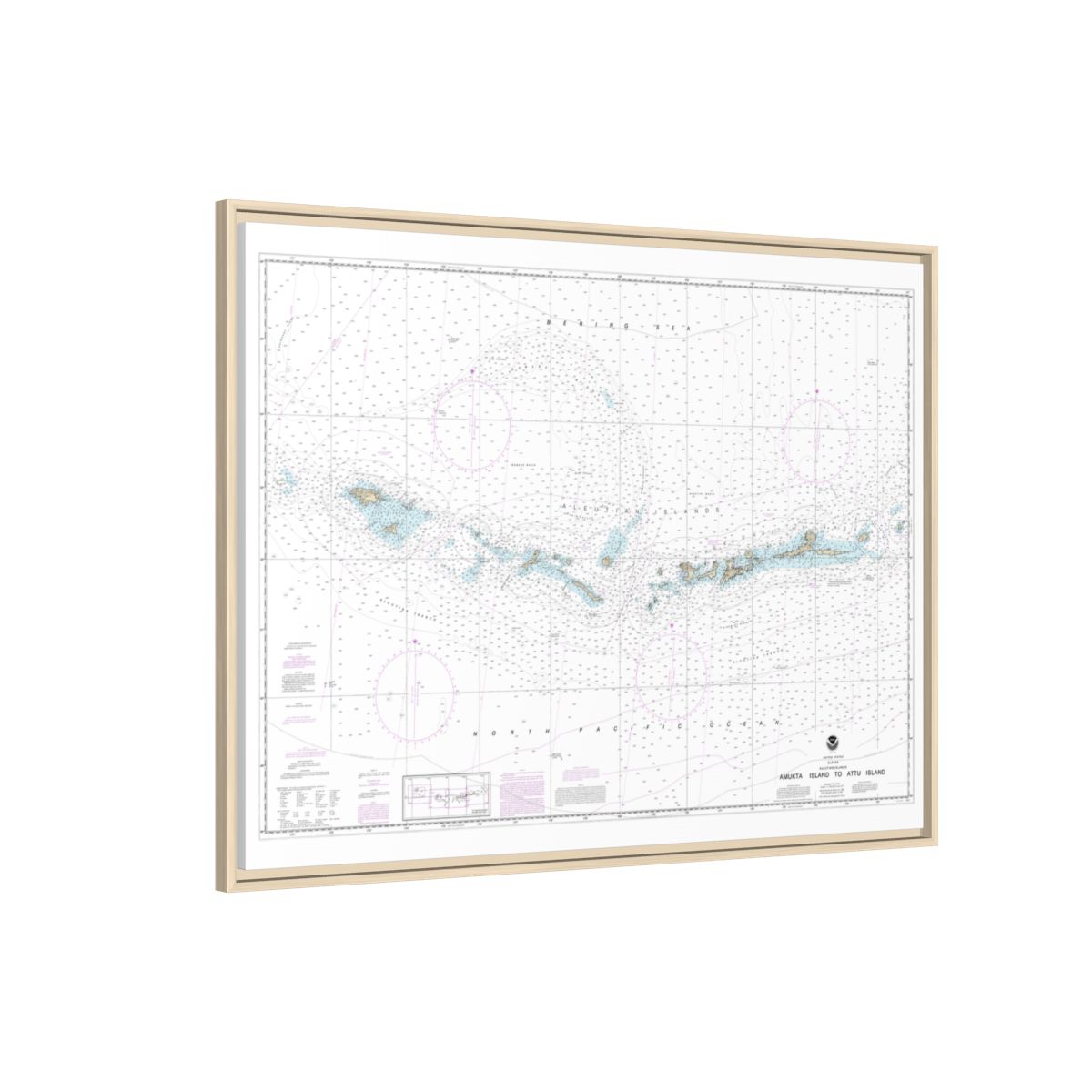 Chart 16012 Aleutian Islands Amukta Island to Attu Island - NOAA Nautical Chart Floating Frame Canvas | 32" x 24" | 40" x 30" - Natural side