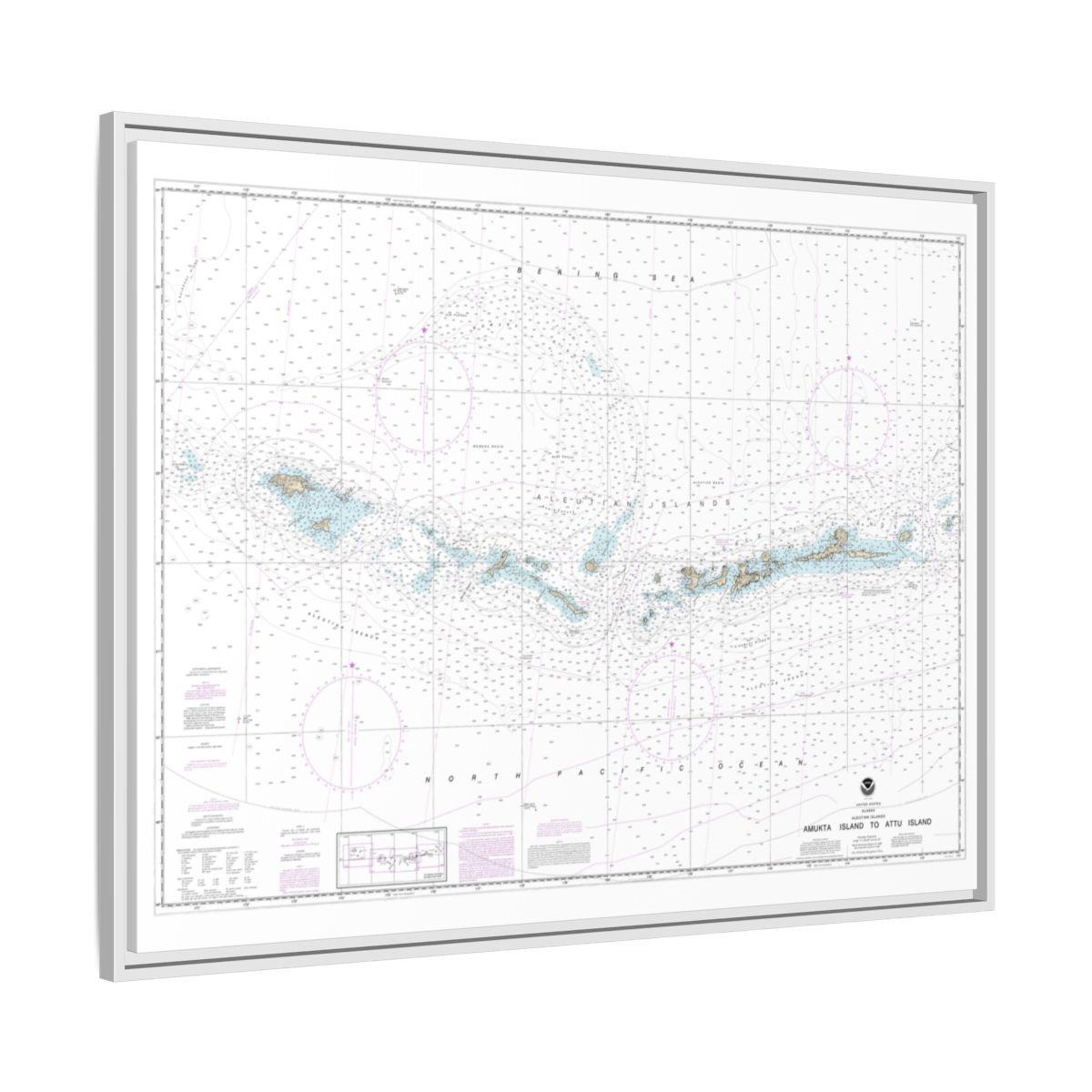 Chart 16012 Aleutian Islands Amukta Island to Attu Island - NOAA Nautical Chart Floating Frame Canvas | 32" x 24" | 40" x 30" - White side