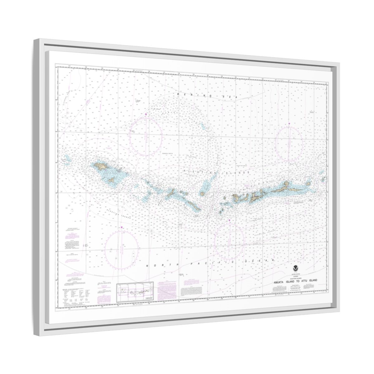 Chart 16012 Aleutian Islands Amukta Island to Attu Island - NOAA Nautical Chart Floating Frame Canvas | 32" x 24" | 40" x 30" - White side