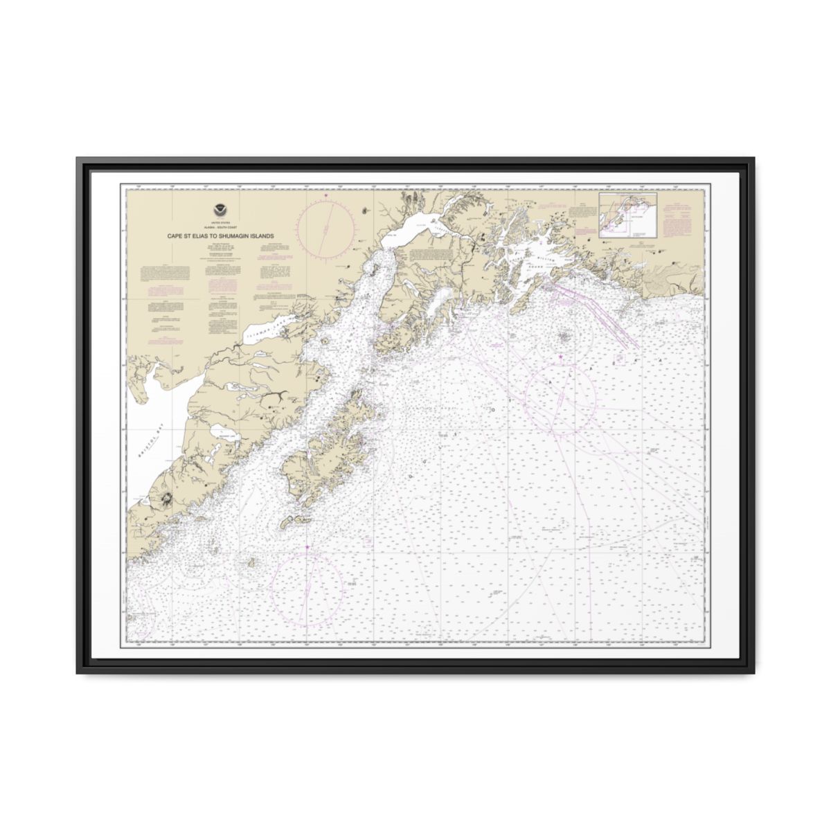 Chart 16013 Cape St. Elias to Shumagin Islands;Semidi Islands - NOAA Nautical Chart Floating Frame Canvas | 32" x 24" | 40" x 30" - Black front