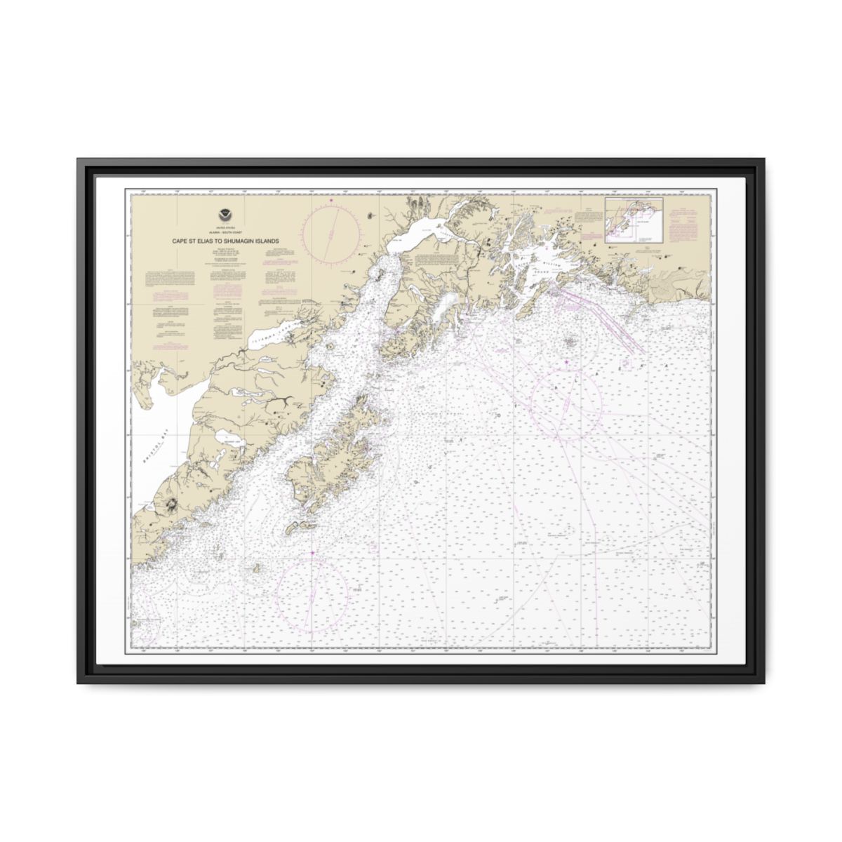 Chart 16013 Cape St. Elias to Shumagin Islands;Semidi Islands - NOAA Nautical Chart Floating Frame Canvas | 32" x 24" | 40" x 30" - Black front