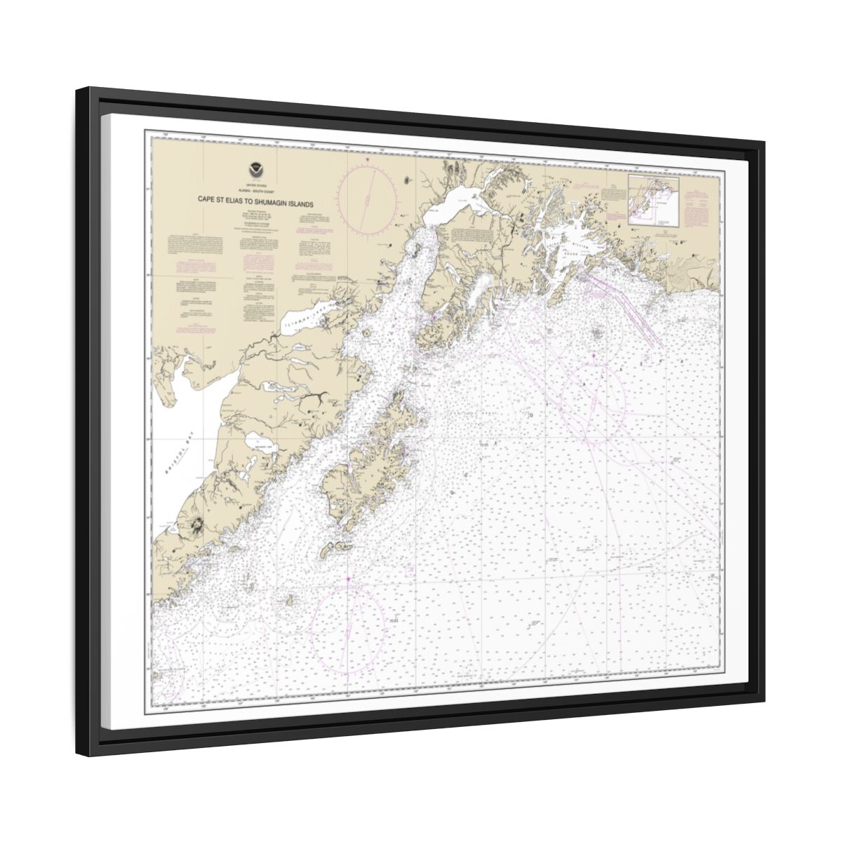 Chart 16013 Cape St. Elias to Shumagin Islands;Semidi Islands - NOAA Nautical Chart Floating Frame Canvas | 32" x 24" | 40" x 30" - Black side