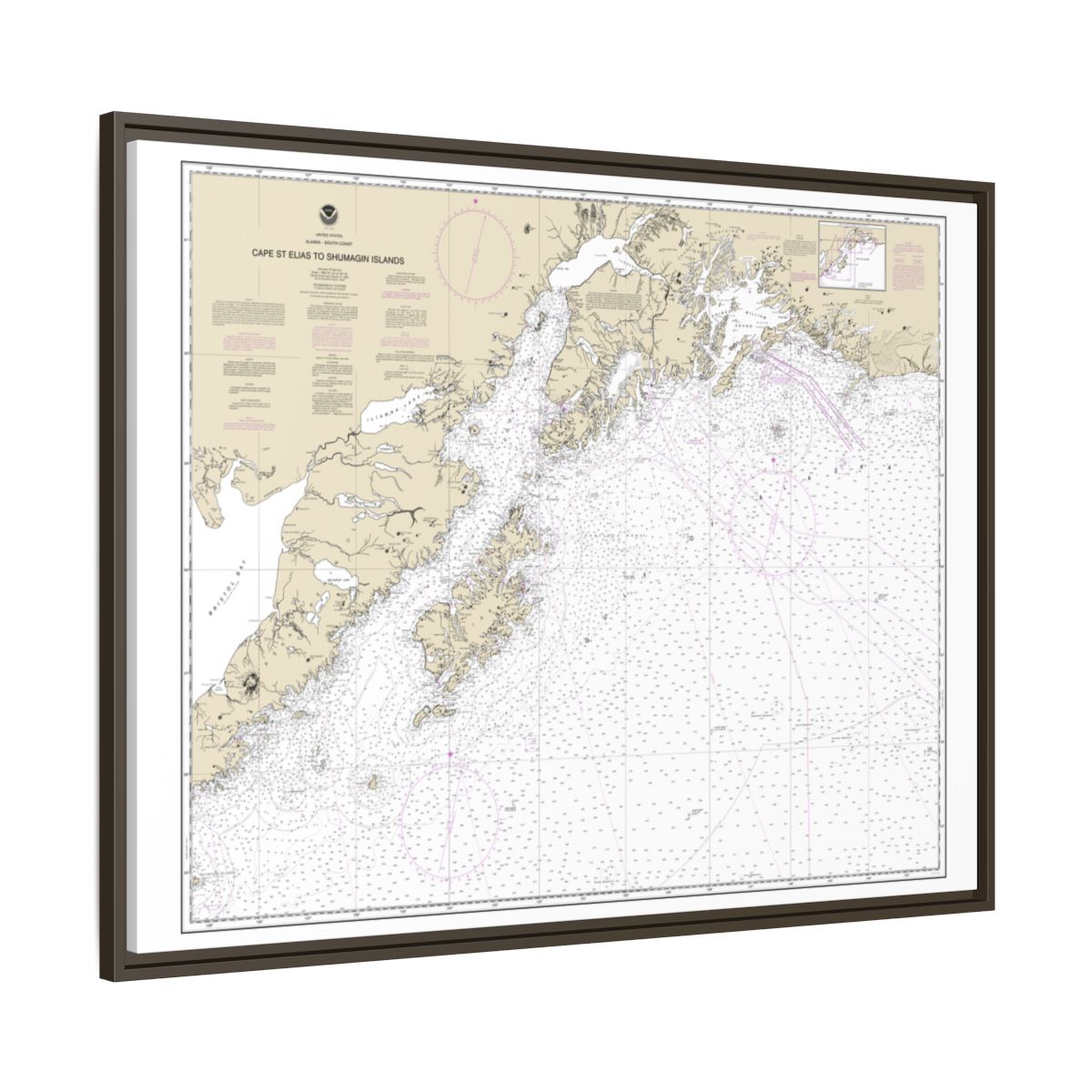 Chart 16013 Cape St. Elias to Shumagin Islands;Semidi Islands - NOAA Nautical Chart Floating Frame Canvas | 32" x 24" | 40" x 30" - Espresso side