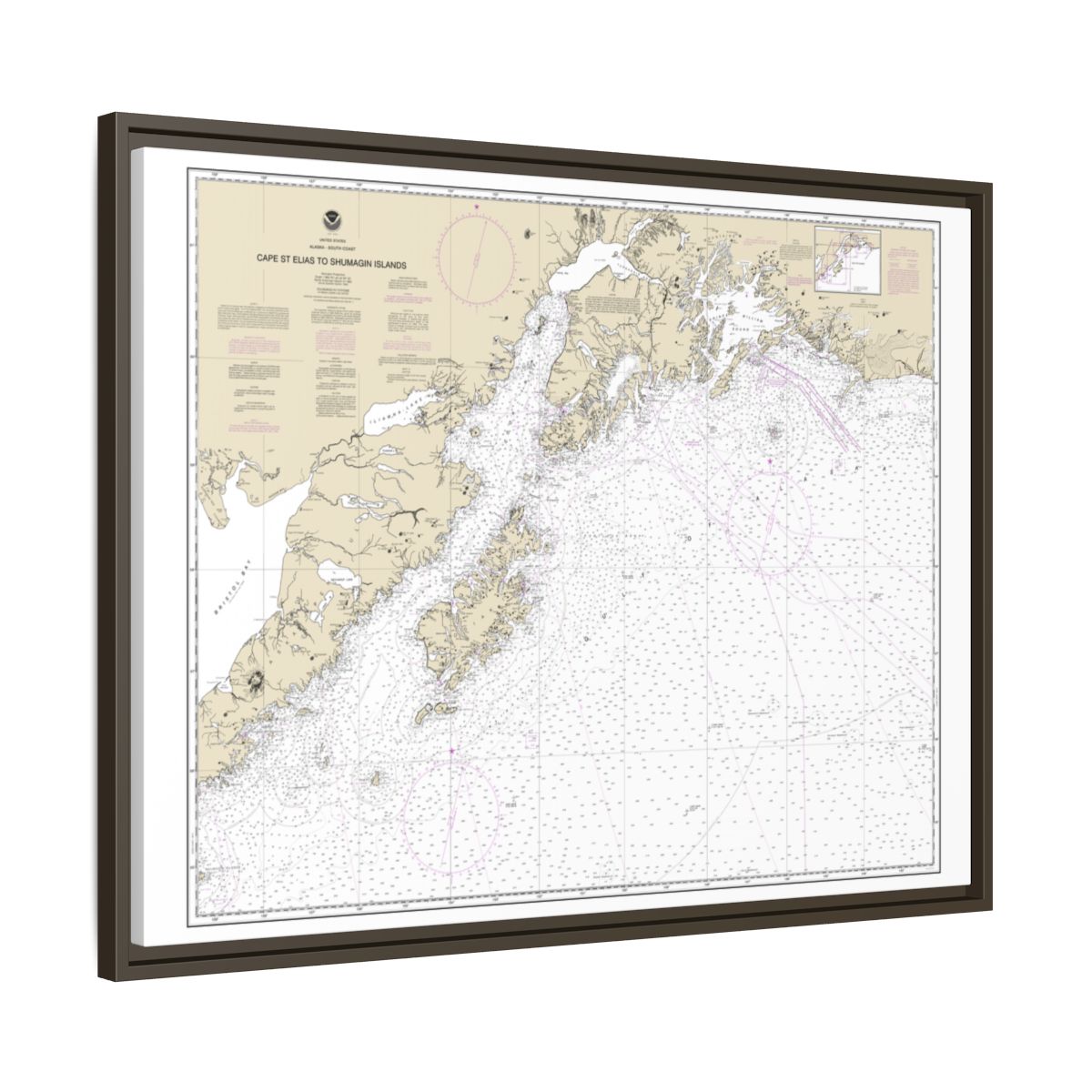 Chart 16013 Cape St. Elias to Shumagin Islands;Semidi Islands - NOAA Nautical Chart Floating Frame Canvas | 32" x 24" | 40" x 30" - Espresso side