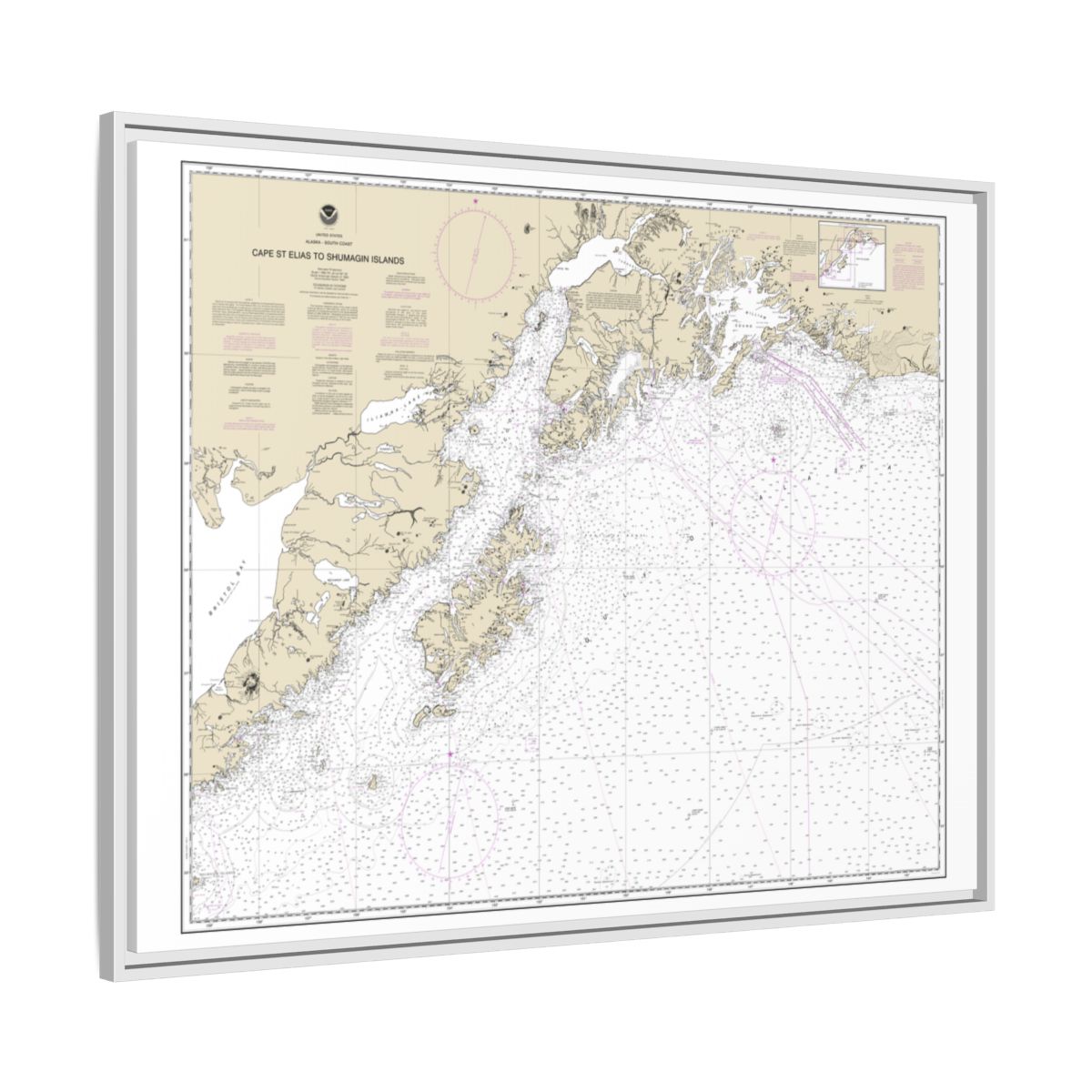 Chart 16013 Cape St. Elias to Shumagin Islands;Semidi Islands - NOAA Nautical Chart Floating Frame Canvas | 32" x 24" | 40" x 30" - White side