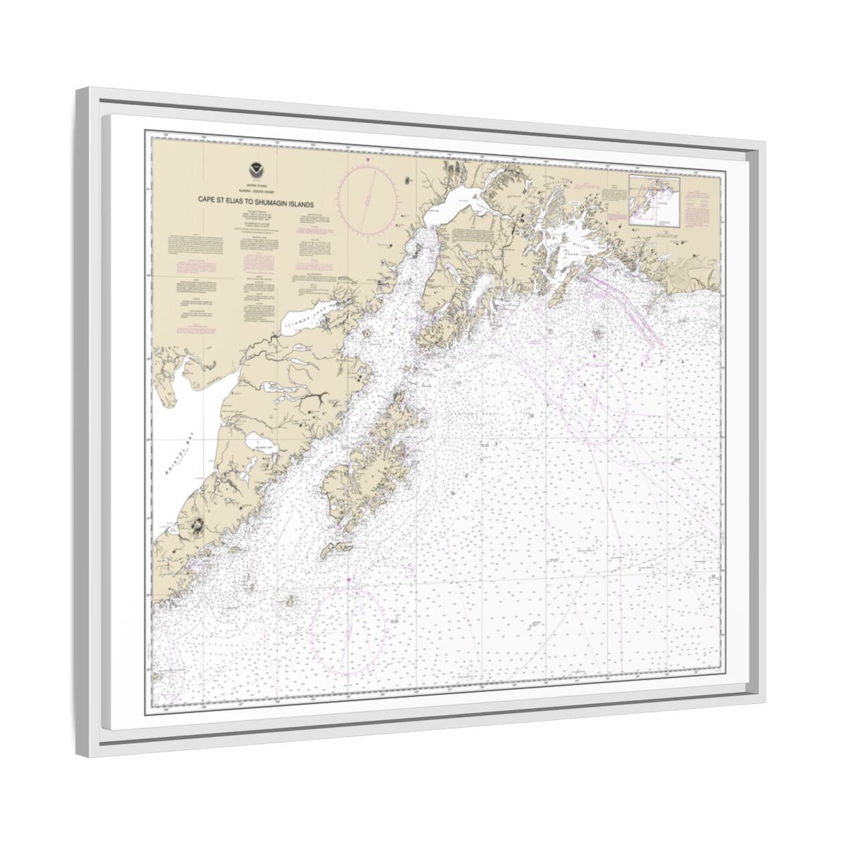 Chart 16013 Cape St. Elias to Shumagin Islands;Semidi Islands - NOAA Nautical Chart Floating Frame Canvas | 32" x 24" | 40" x 30" - White side
