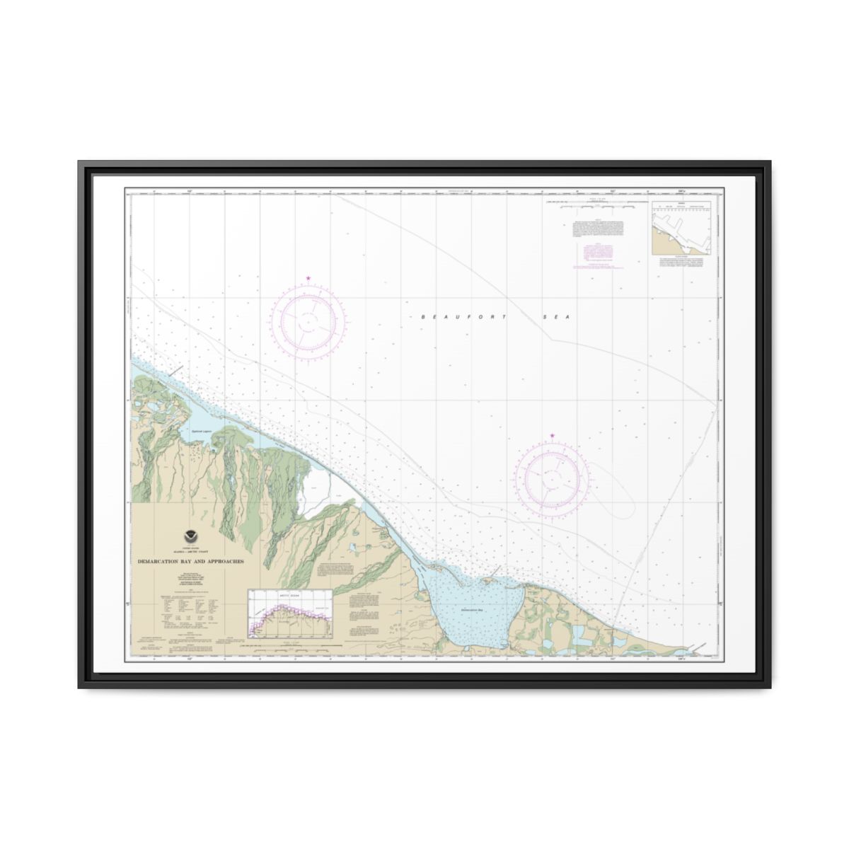 Chart 16041 Demarcation Bay and approaches - NOAA Nautical Chart Floating Frame Canvas | 32" x 24" | 40" x 30" - Black front