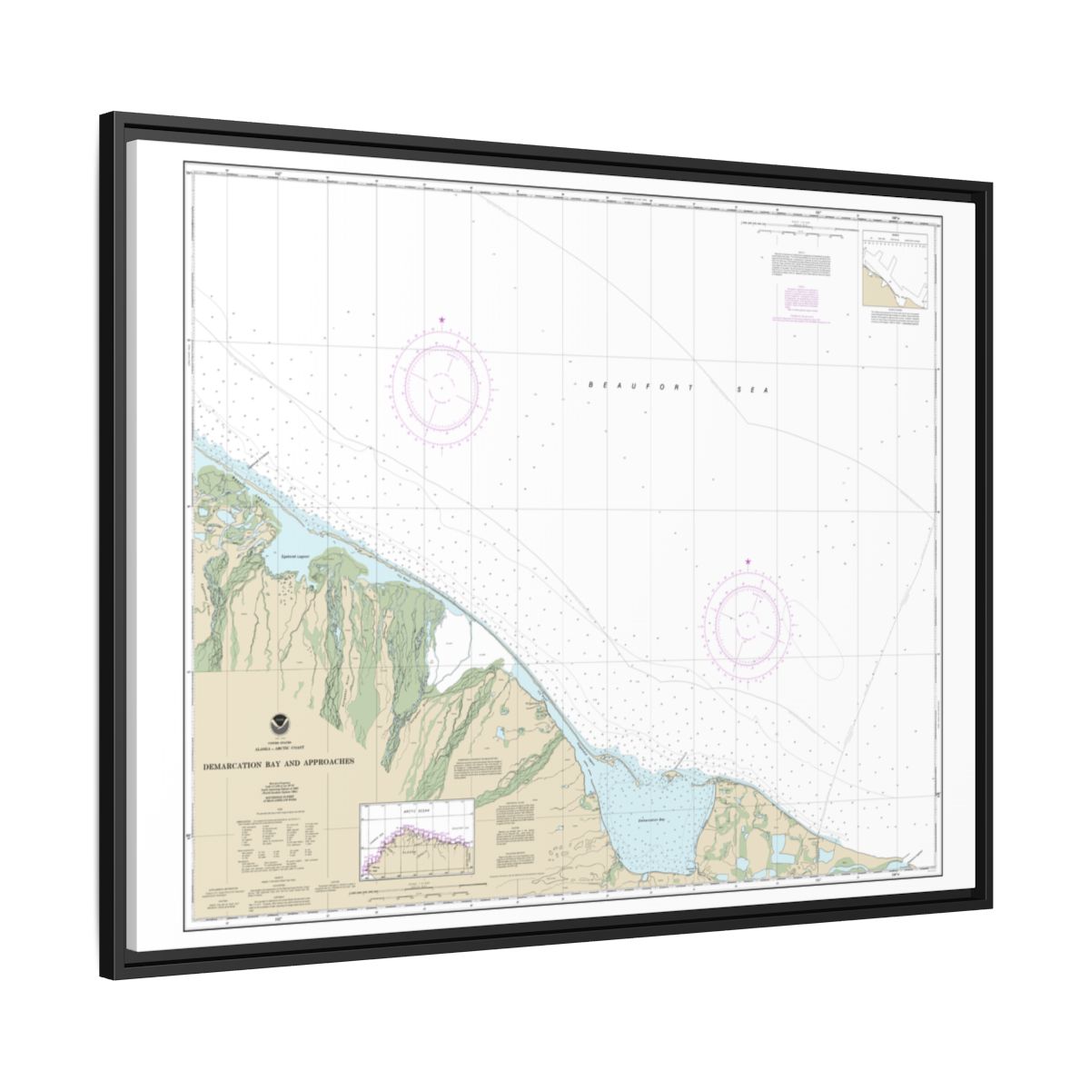 Chart 16041 Demarcation Bay and approaches - NOAA Nautical Chart Floating Frame Canvas | 32" x 24" | 40" x 30" - Black side
