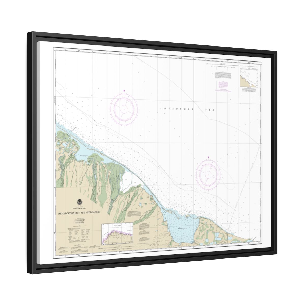 Chart 16041 Demarcation Bay and approaches - NOAA Nautical Chart Floating Frame Canvas | 32" x 24" | 40" x 30" - Black side