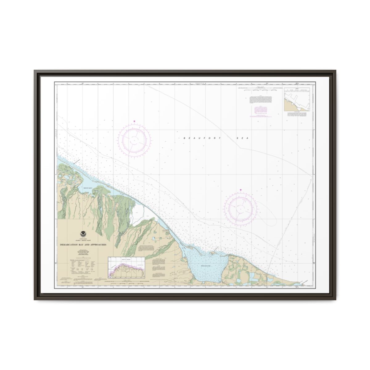 Chart 16041 Demarcation Bay and approaches - NOAA Nautical Chart Floating Frame Canvas | 32" x 24" | 40" x 30" - Espresso front