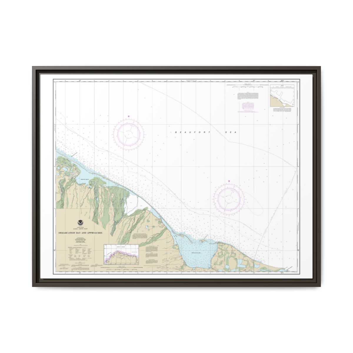 Chart 16041 Demarcation Bay and approaches - NOAA Nautical Chart Floating Frame Canvas | 32" x 24" | 40" x 30" - Espresso front