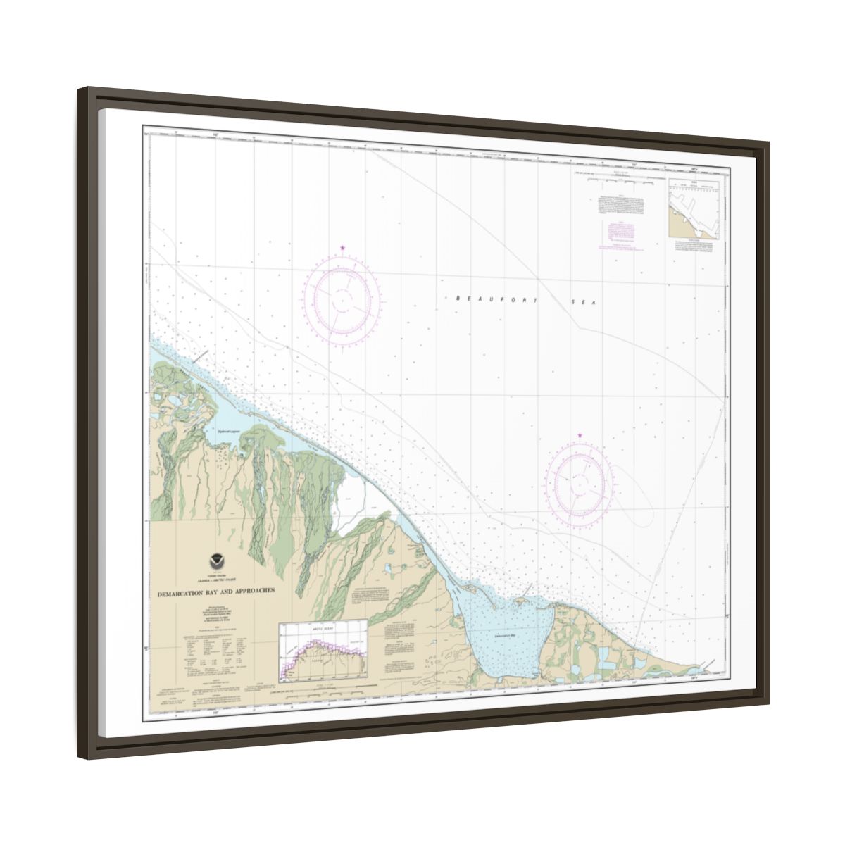 Chart 16041 Demarcation Bay and approaches - NOAA Nautical Chart Floating Frame Canvas | 32" x 24" | 40" x 30" - Espresso side
