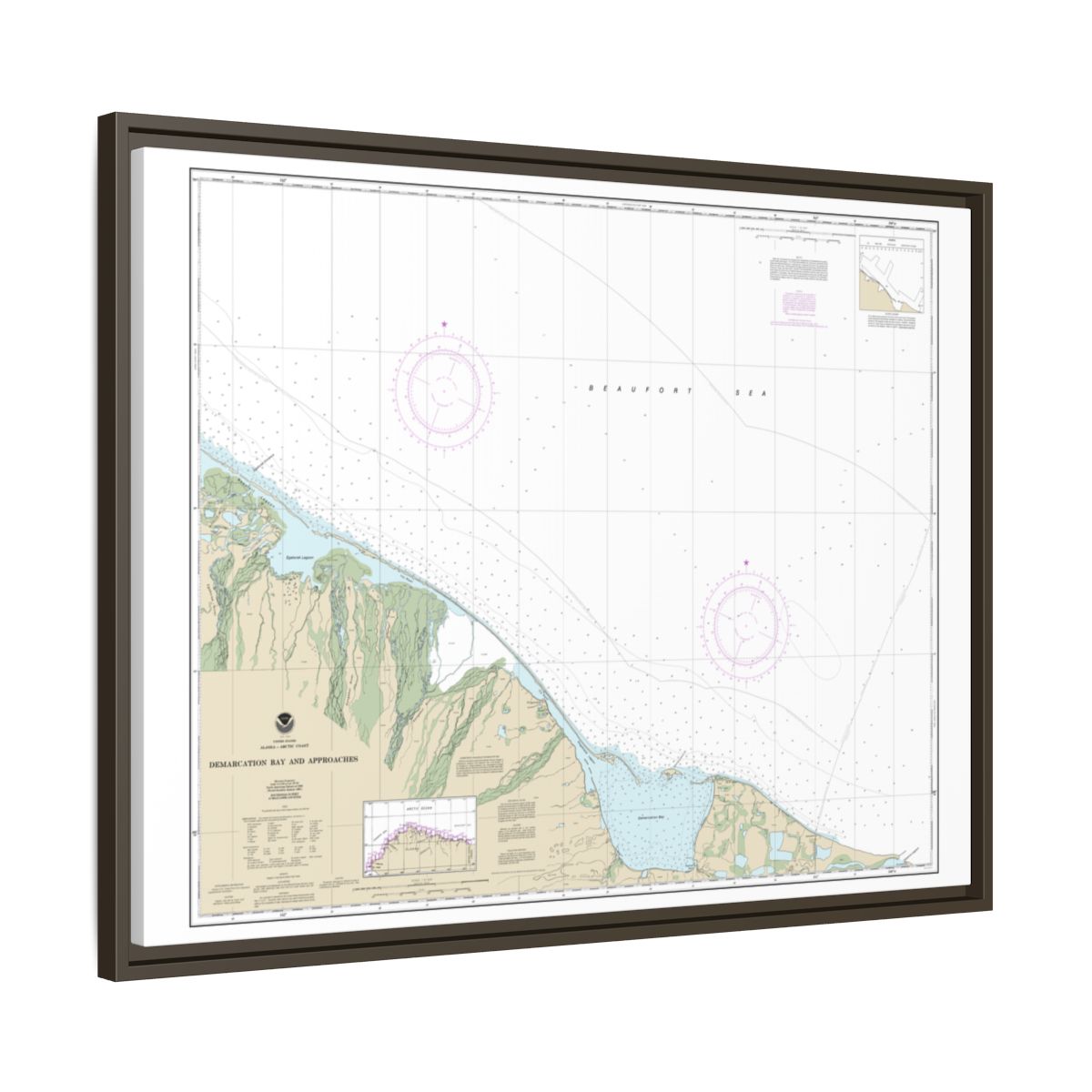 Chart 16041 Demarcation Bay and approaches - NOAA Nautical Chart Floating Frame Canvas | 32" x 24" | 40" x 30" - Espresso side