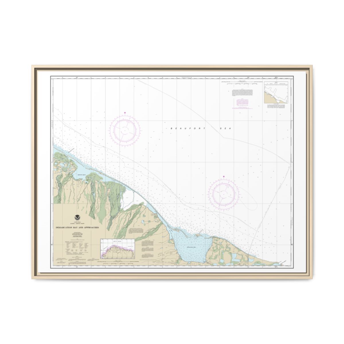 Chart 16041 Demarcation Bay and approaches - NOAA Nautical Chart Floating Frame Canvas | 32" x 24" | 40" x 30" - Natural front