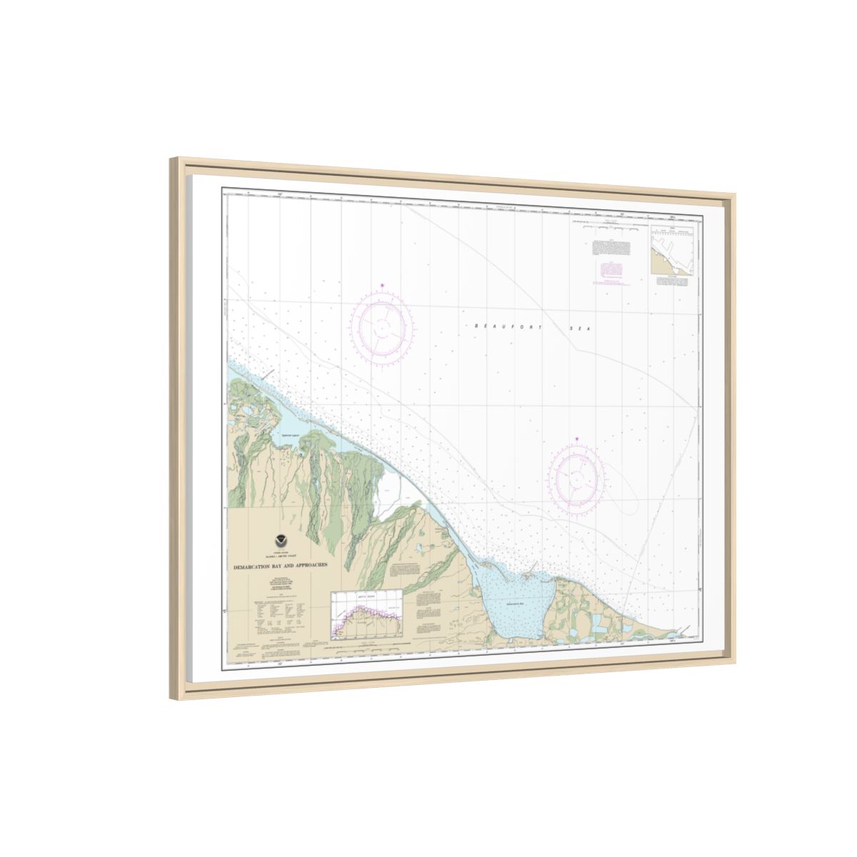 Chart 16041 Demarcation Bay and approaches - NOAA Nautical Chart Floating Frame Canvas | 32" x 24" | 40" x 30" - Natural side