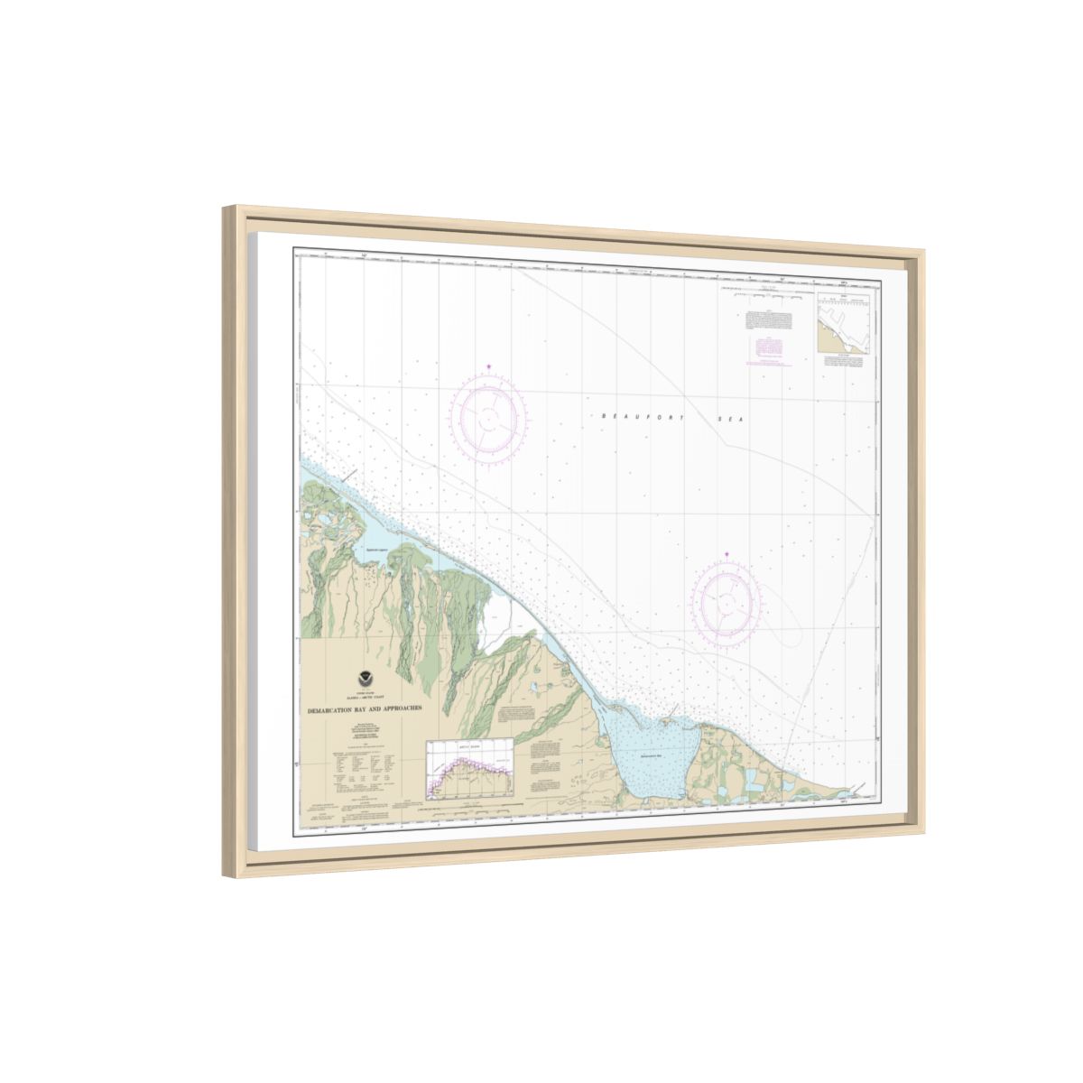 Chart 16041 Demarcation Bay and approaches - NOAA Nautical Chart Floating Frame Canvas | 32" x 24" | 40" x 30" - Natural side