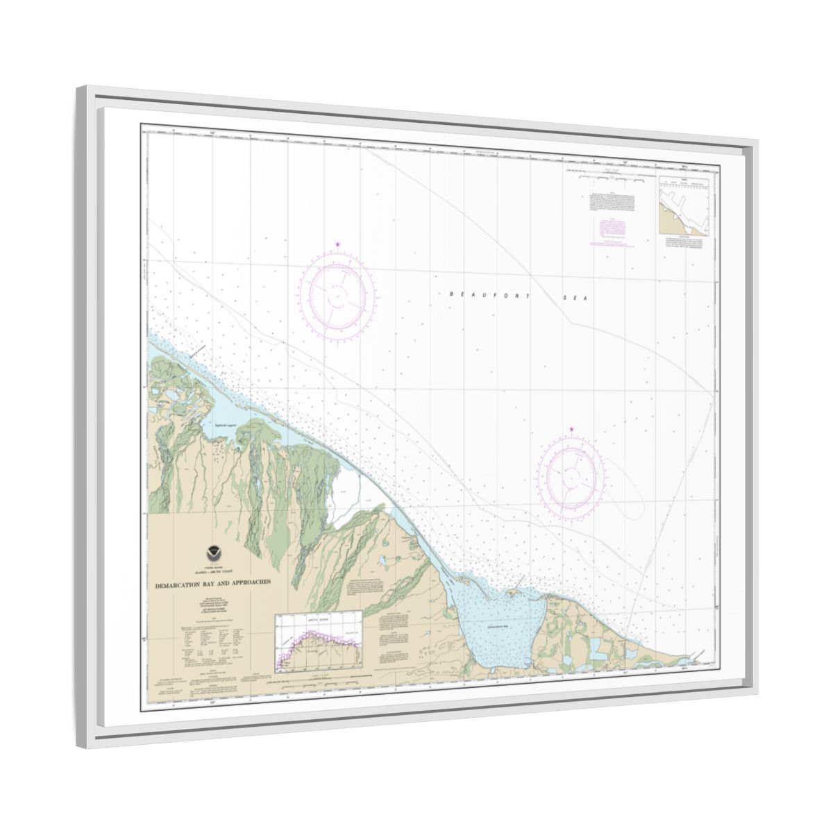 Chart 16041 Demarcation Bay and approaches - NOAA Nautical Chart Floating Frame Canvas | 32" x 24" | 40" x 30" - White side