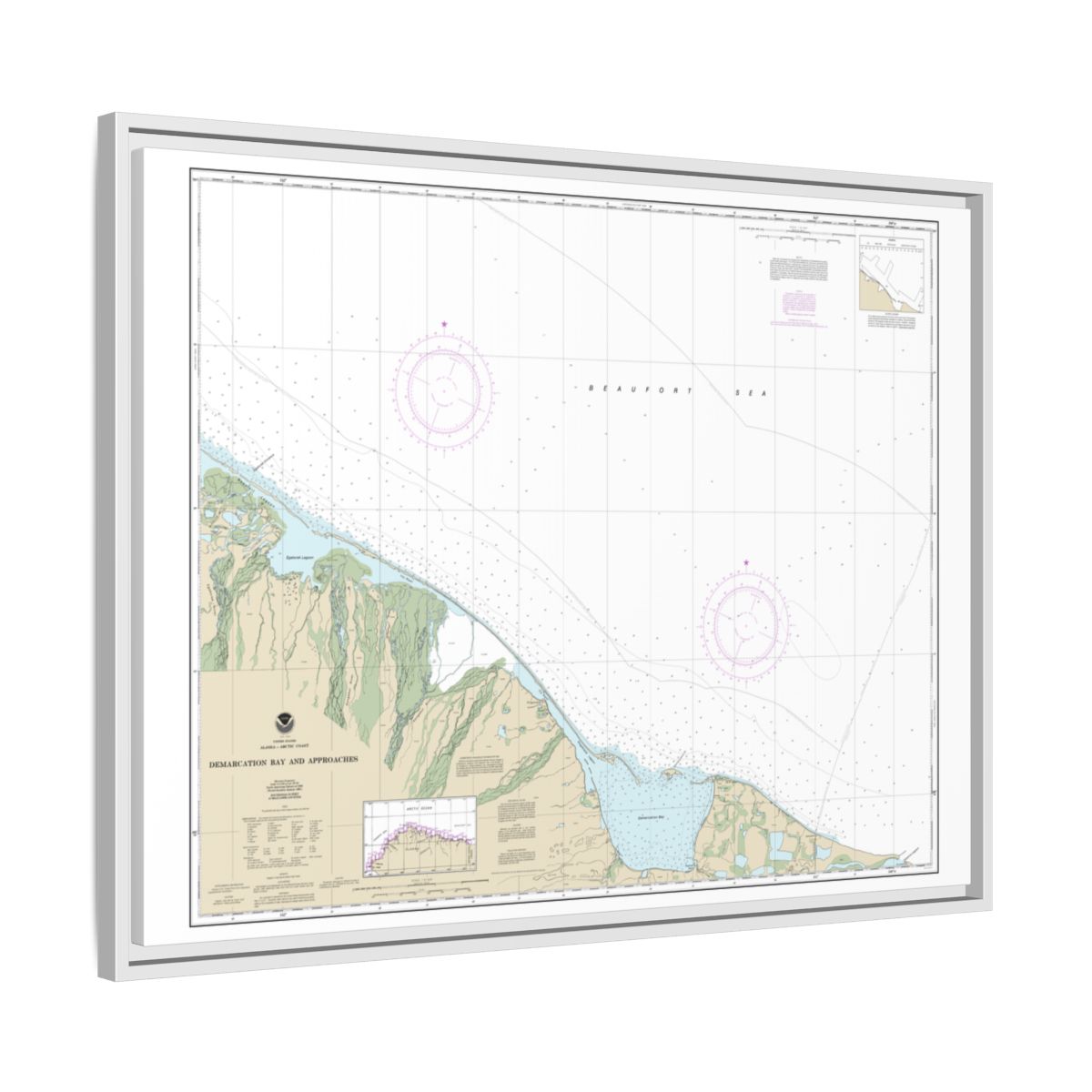 Chart 16041 Demarcation Bay and approaches - NOAA Nautical Chart Floating Frame Canvas | 32" x 24" | 40" x 30" - White side