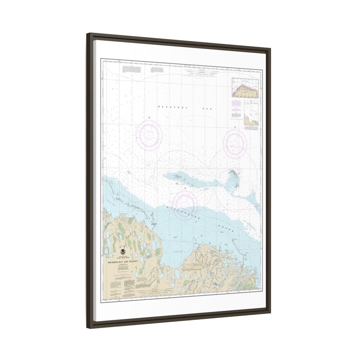Chart 16061 Prudhoe Bay and vicinity - NOAA Nautical Chart Floating Frame Canvas | 24" x 32" | 30" x 40" - Espresso side