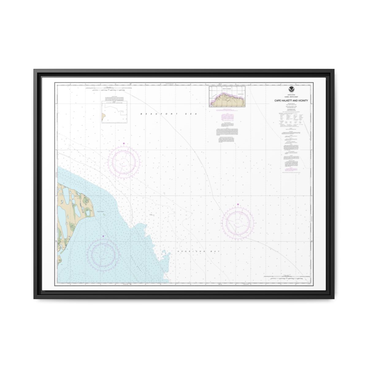 Chart 16065 Cape Halkett and vicinity - NOAA Nautical Chart Floating Frame Canvas | 32" x 24" | 40" x 30" - Black front